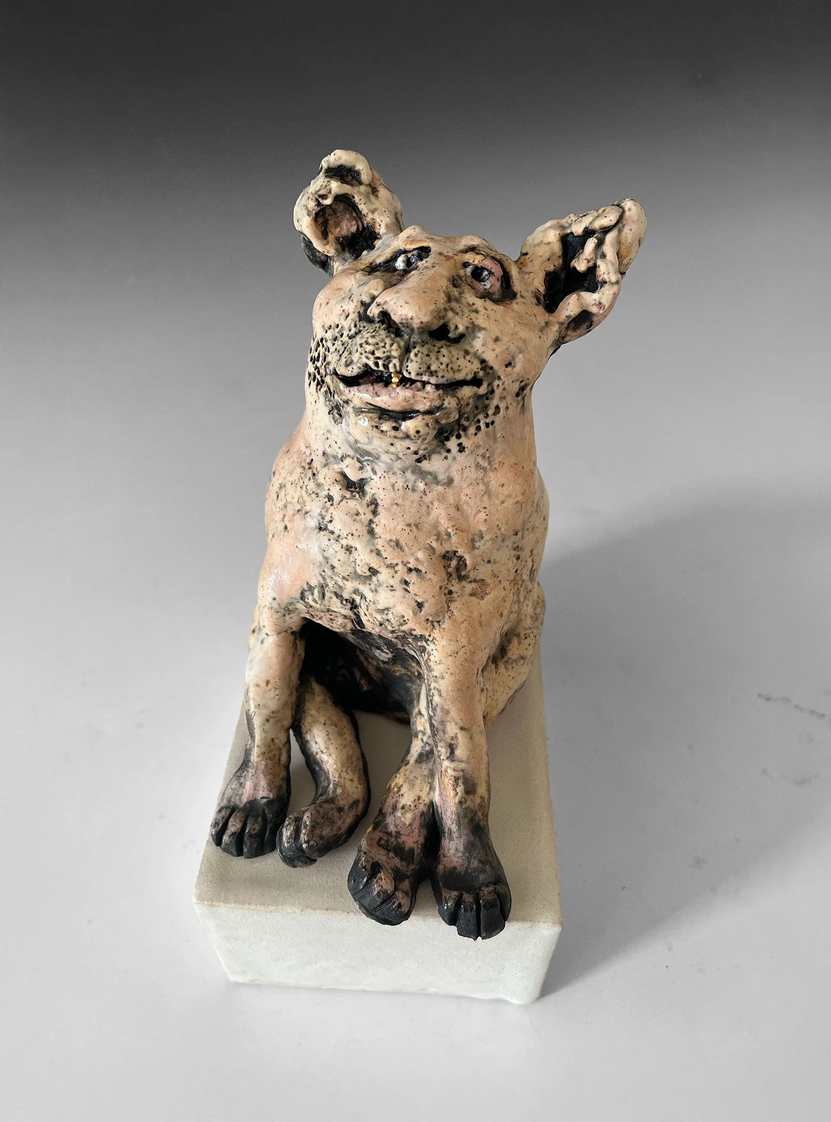 "GANGSTA" DOG 
6x4x8