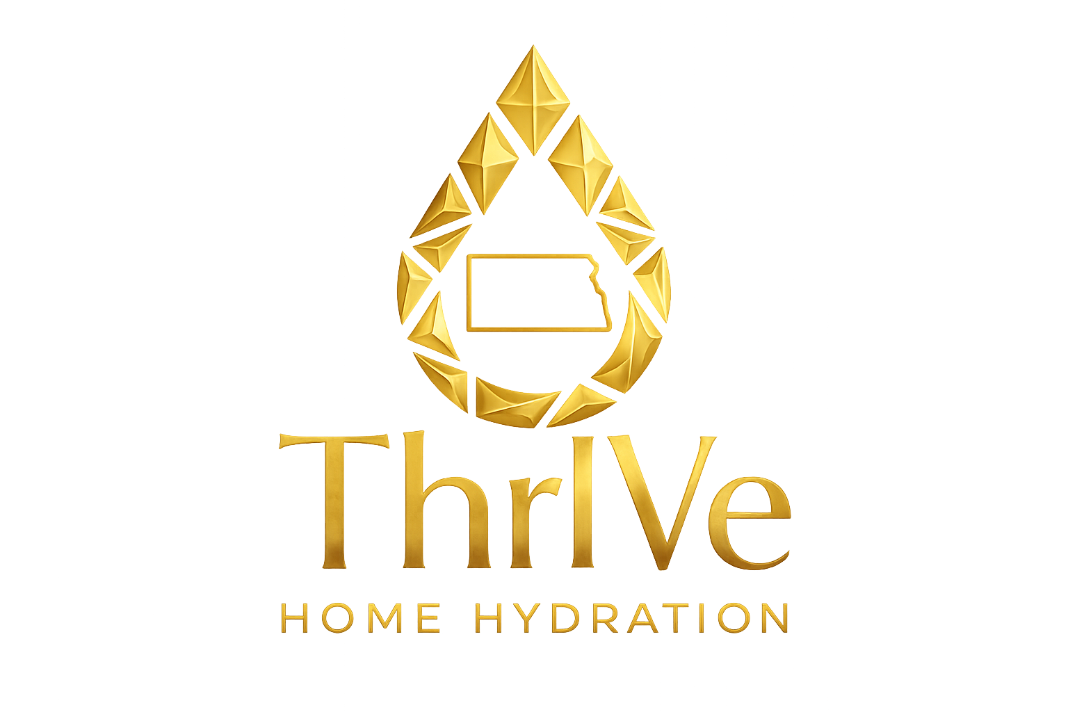 Gold 3D logo with a stylized house shape inside a ring of geometric shapes, and the text 'Thrive Home Inspection' in gold letters.