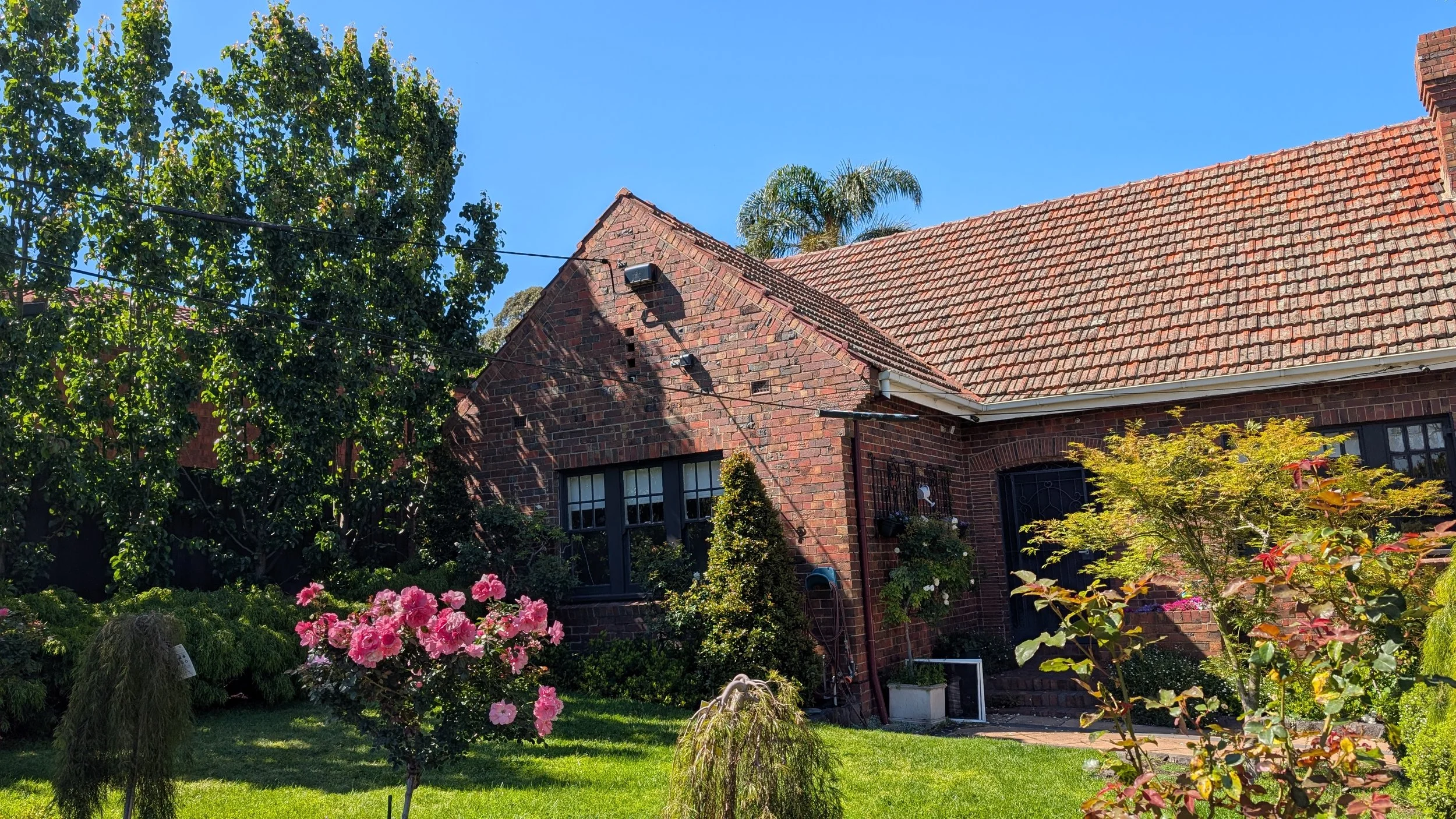 Custom Painting and Gardening