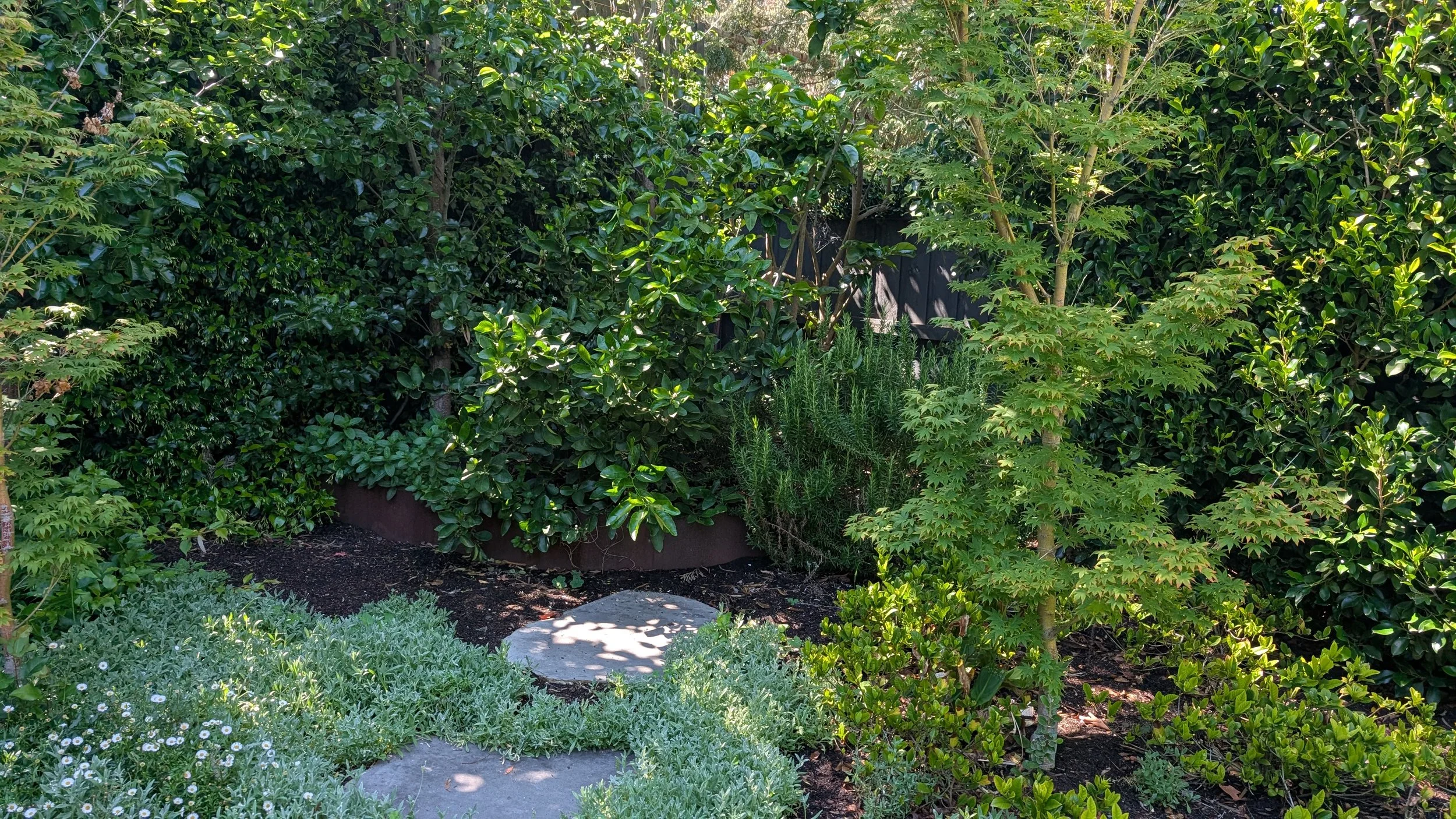 Landscaping and Gardening