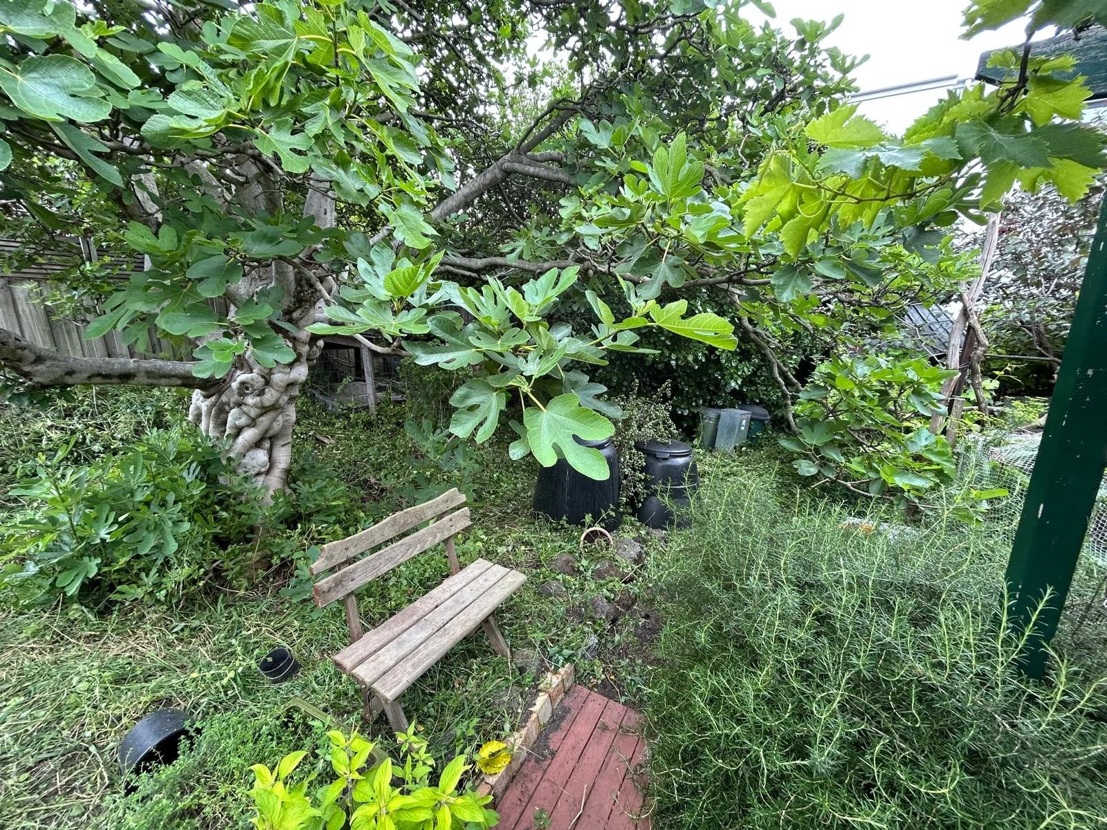 Garden Maintenance