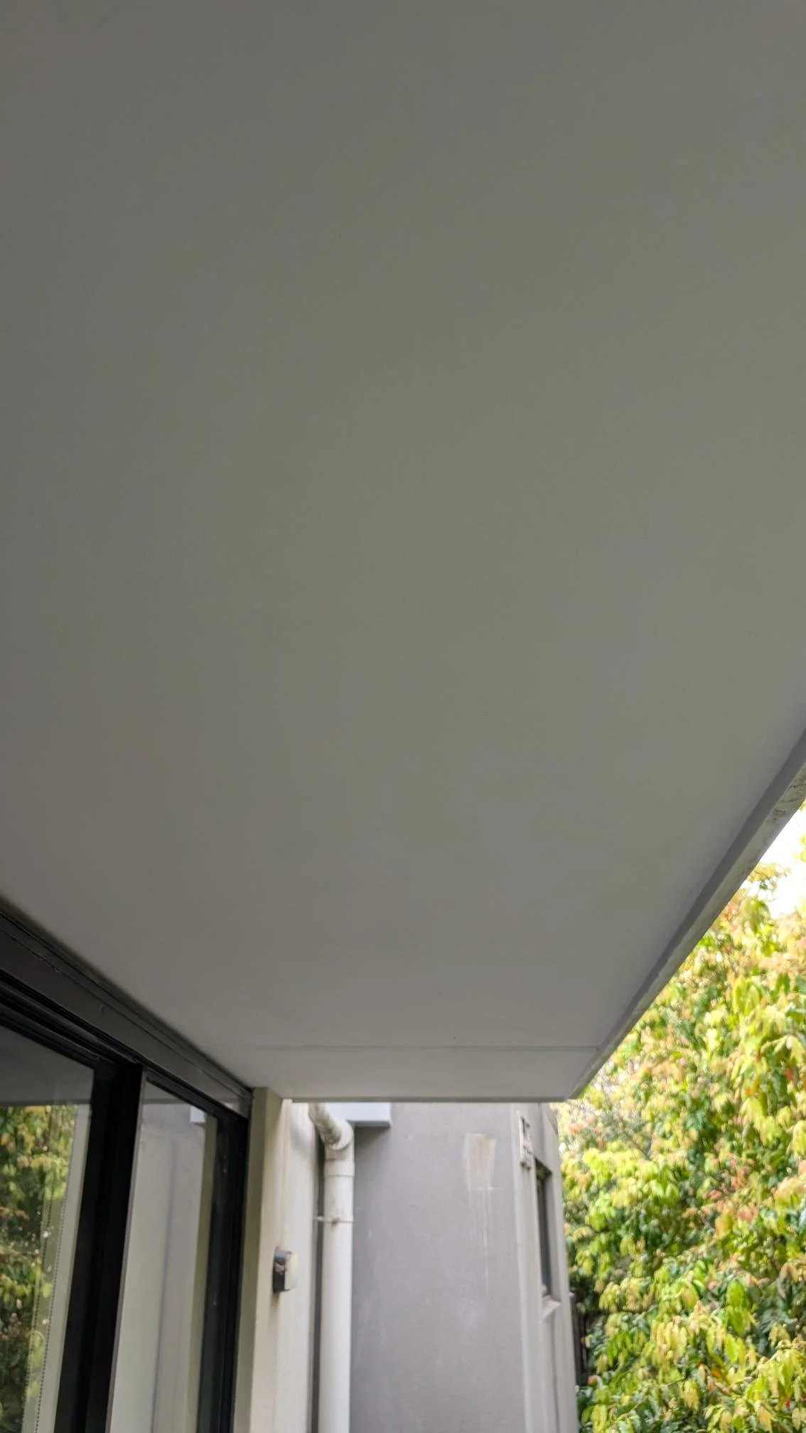Eaves Replacement and Painting