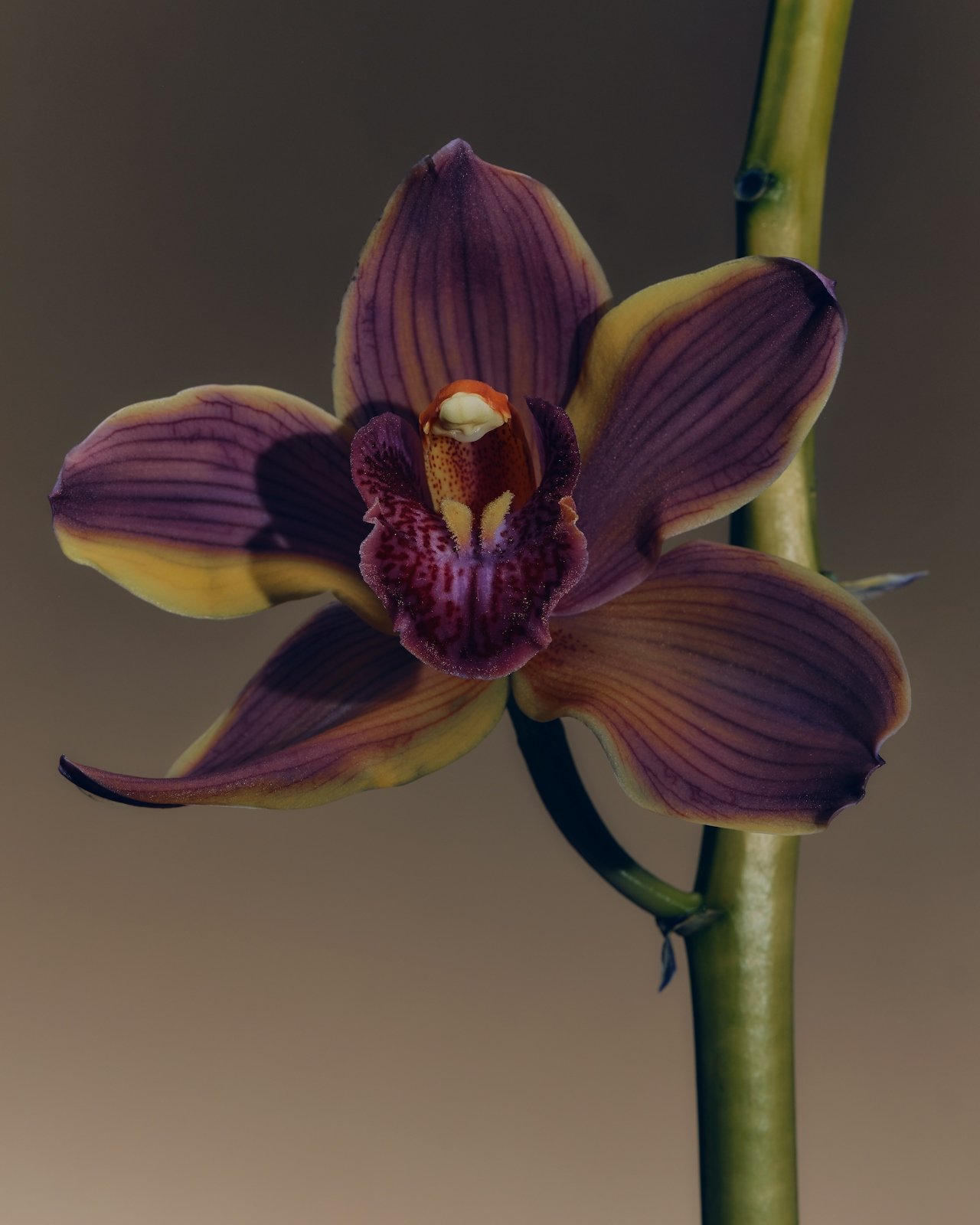 COMMON_GOOD_IV_THERAPY_DTS_AURA_Fanette_Guilloud_Photos_ID12985.jpg
