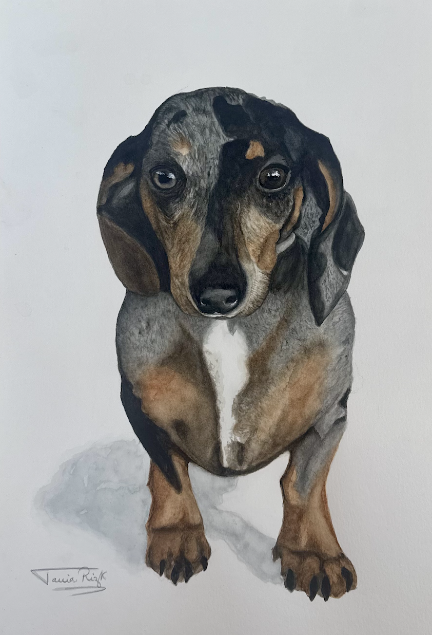 Screenshot 2025-12-24 at 4.56.31 PM.png