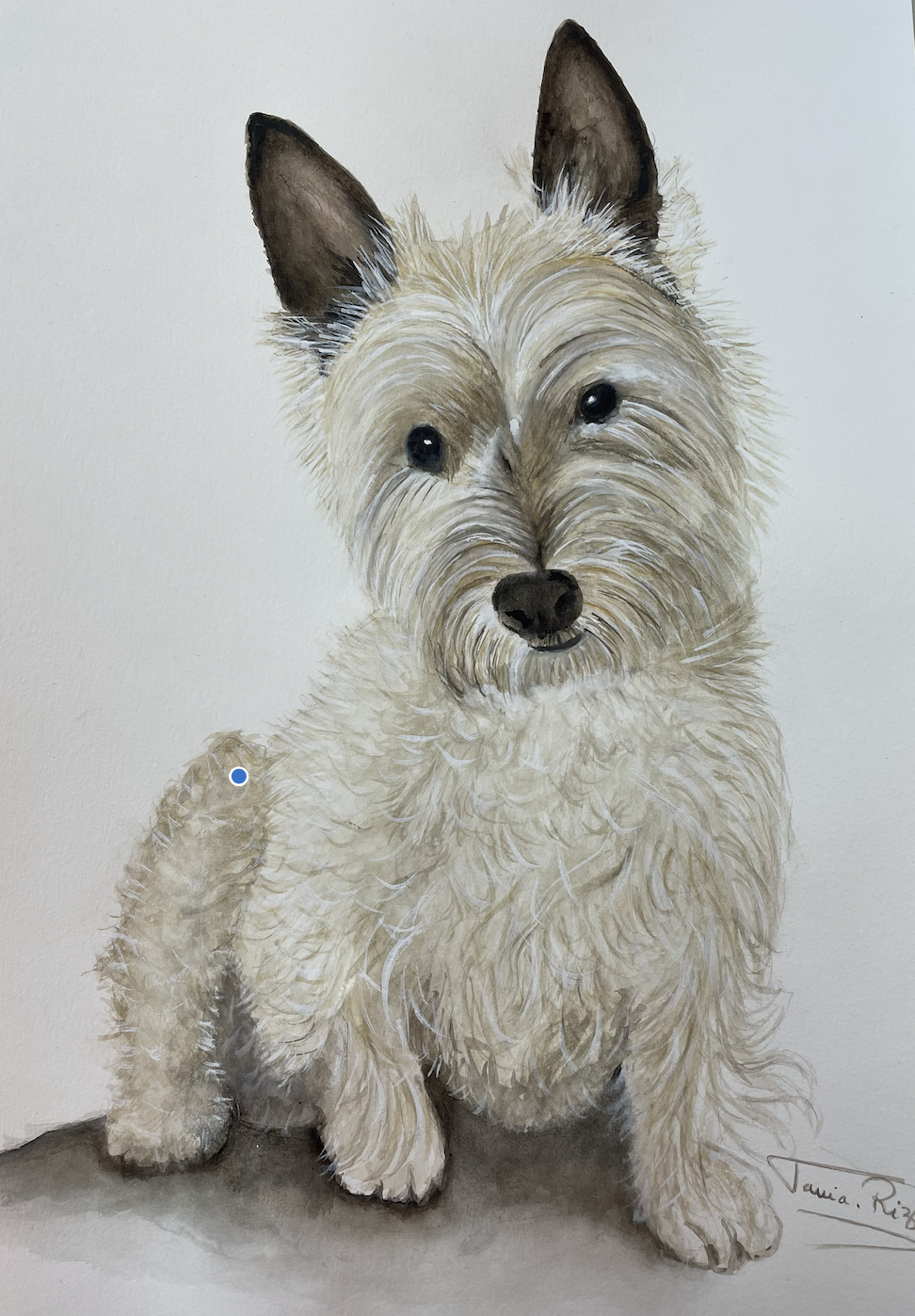 Screenshot 2025-12-24 at 4.56.48 PM.png