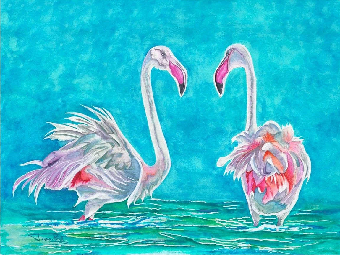 Flamingo Tango