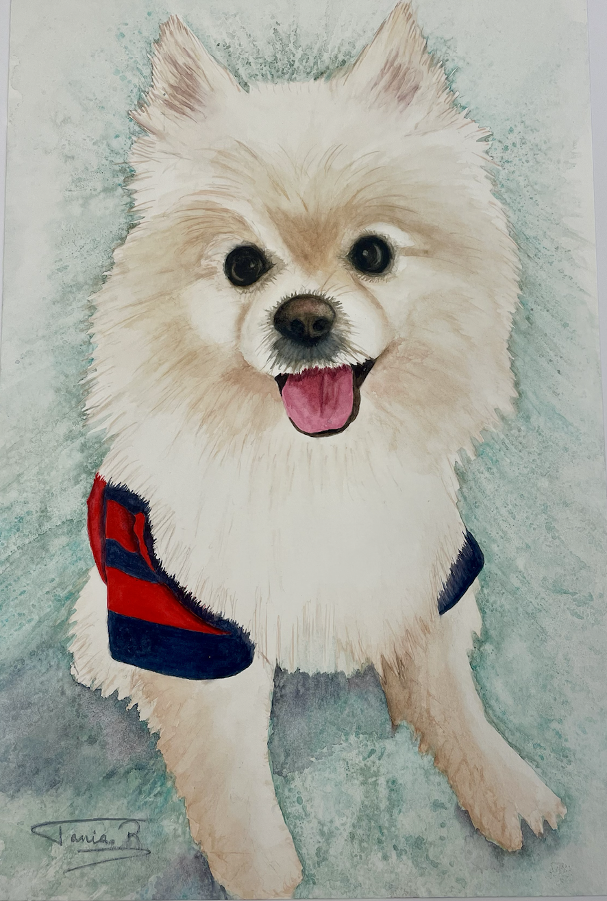 Screenshot 2025-12-24 at 4.56.19 PM.png