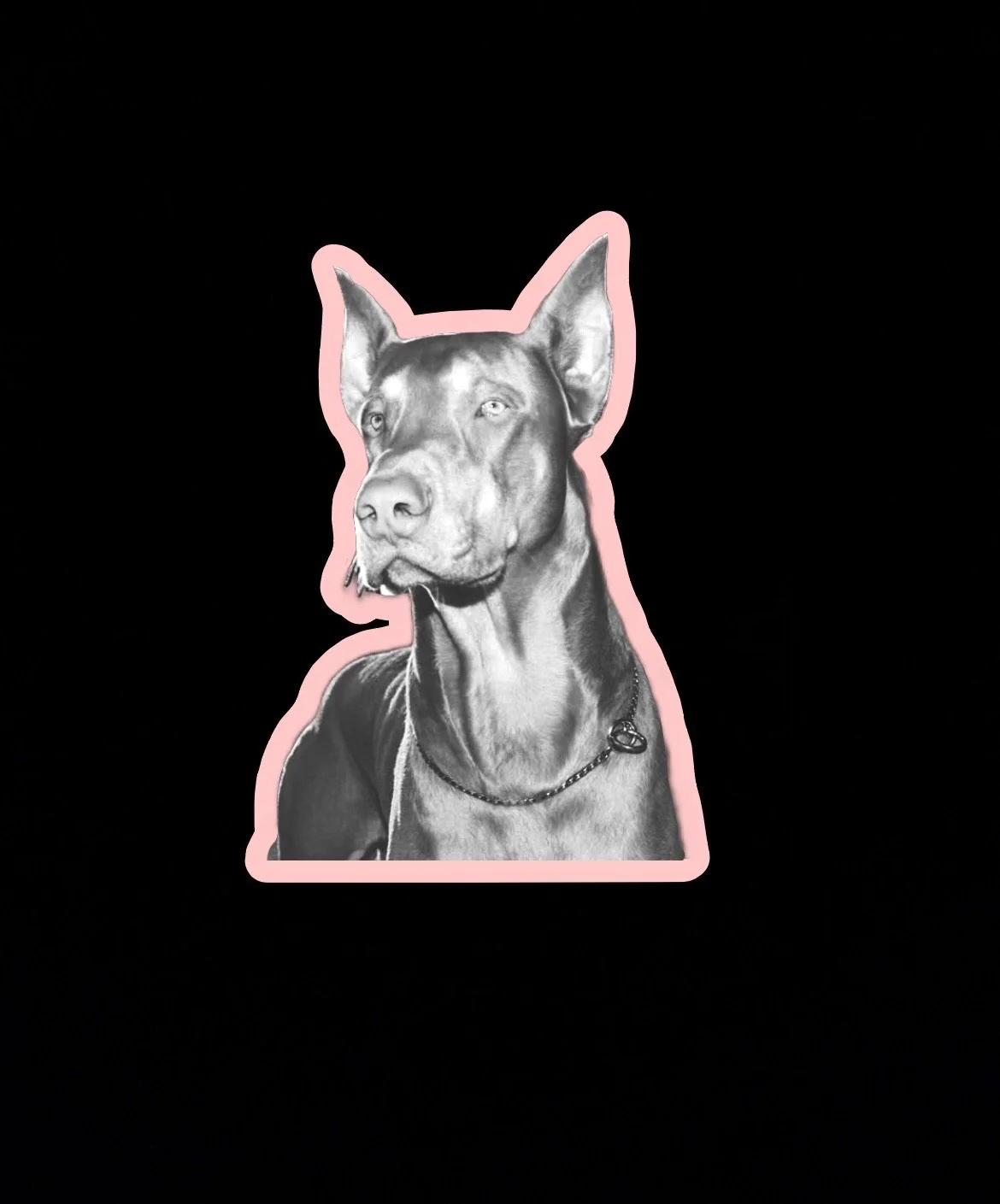 Sticker of a black and white dog with a pink outline, sitting against a black background.