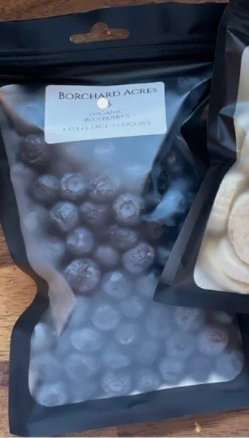 Freeze Dried Organic Blueberries