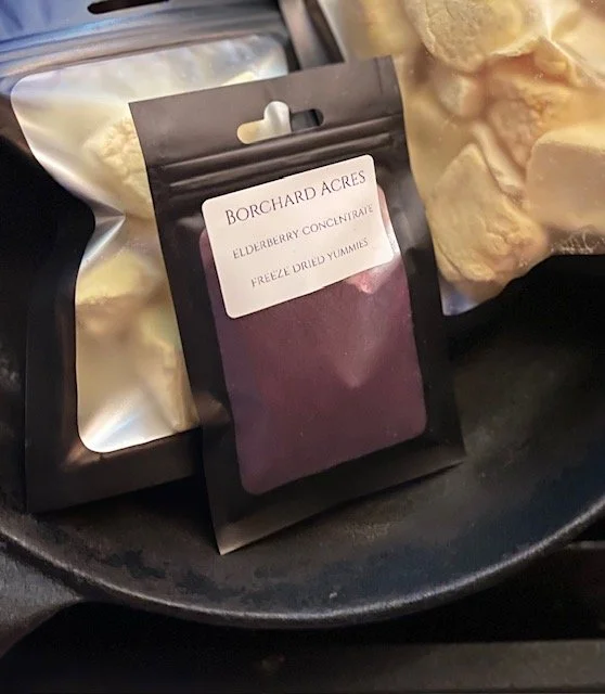 Freeze Dried Elderberry Concentrate