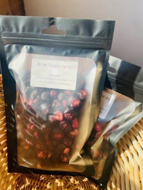 Screenshot 2026-03-13 005115 bb.JPG