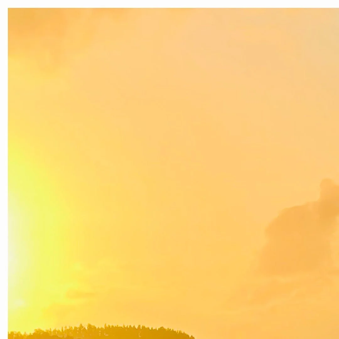 She&rsquo;s a thing of beauty

#vanlifeshoot #vanlifeideas #vanlifestyle #vanlife #vanbuilding
#vanlifemovement #vanlifer #vanlifers #vanbuilds #vantravel
#vanliving #vandesign #outdoors #homeiswhereyouparkit
#homeonwheels #vandwelling #vandwellers #