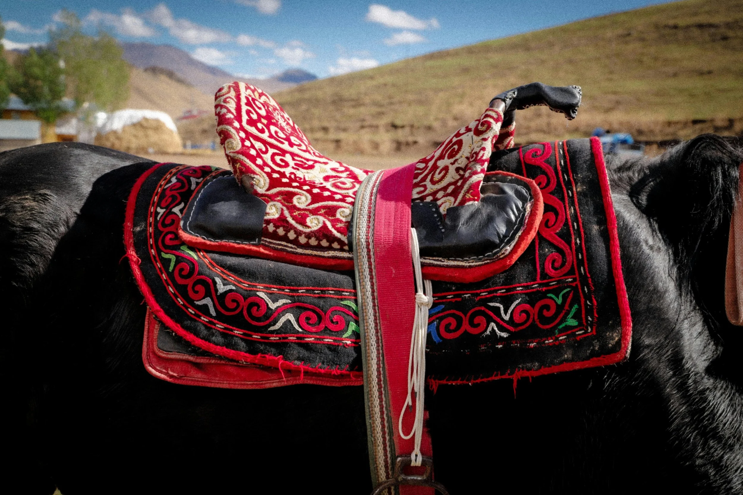 Symbolism in Central Asian Felt Making