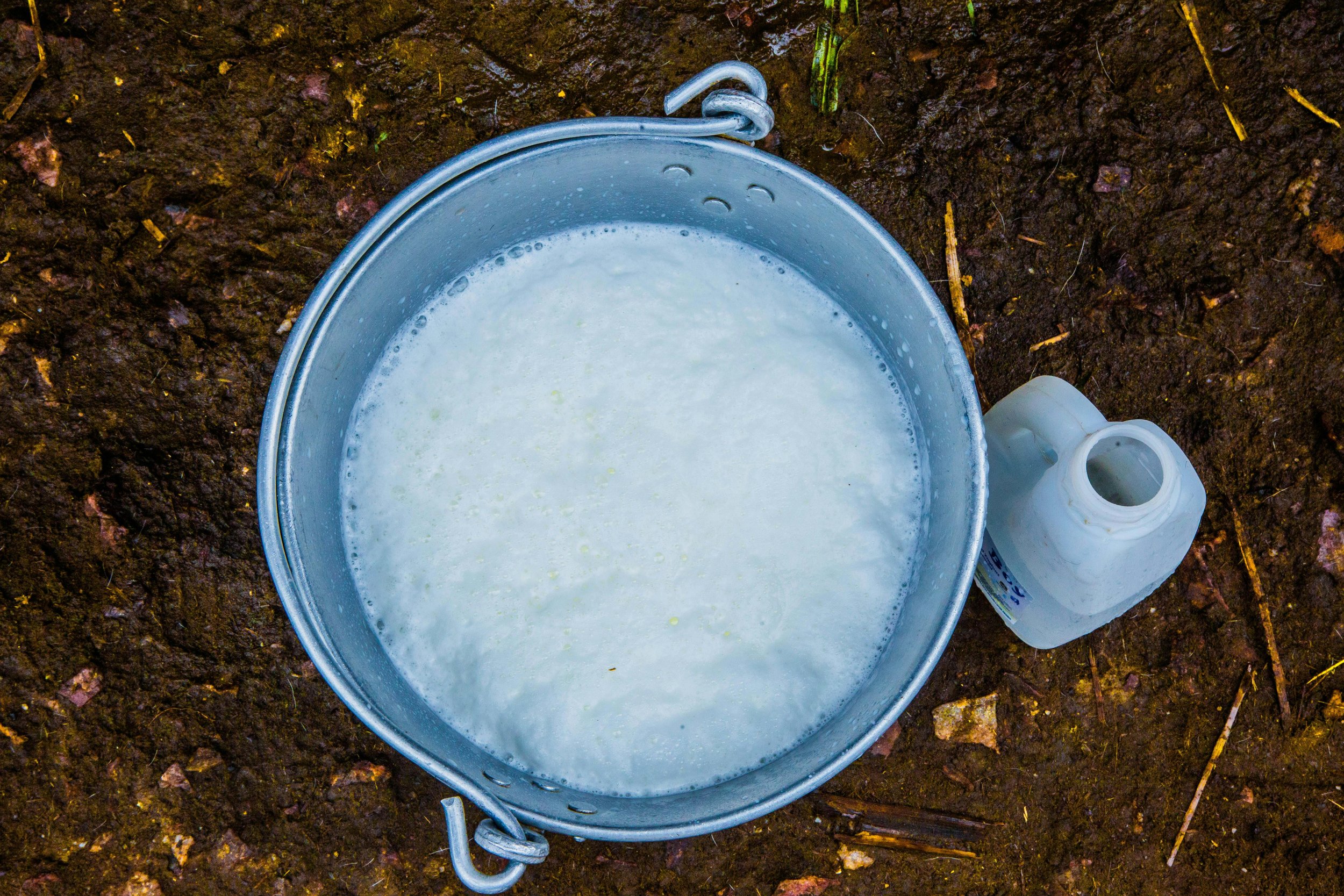 Kumis: The Drink of The Steppes