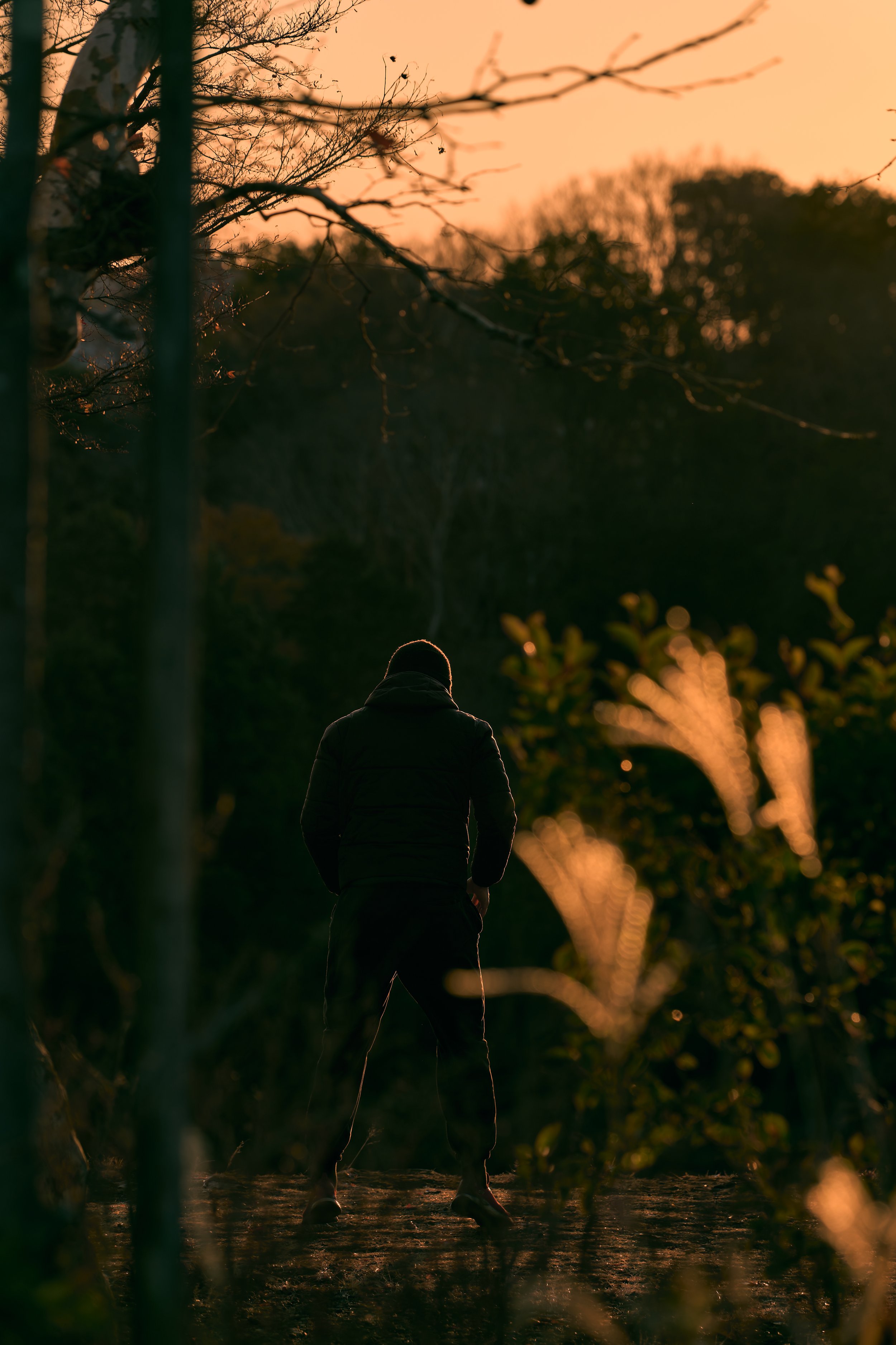 夕焼けの夕暮れ時に、木立の中で立っている男性のシルエット。背景にはオレンジ色の空と遠くの木々が見える。
