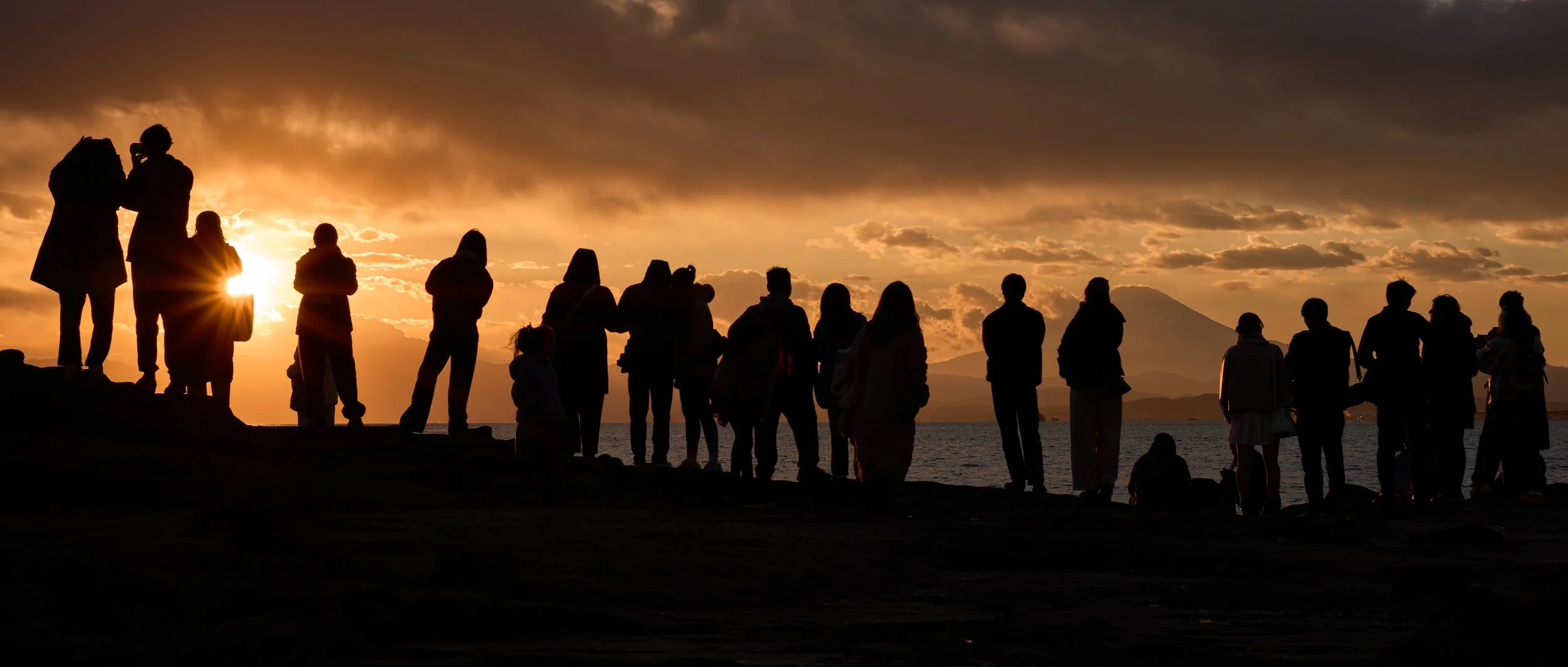 L1050780-20250224-DxO_DeepPRIME XD2s.jpg