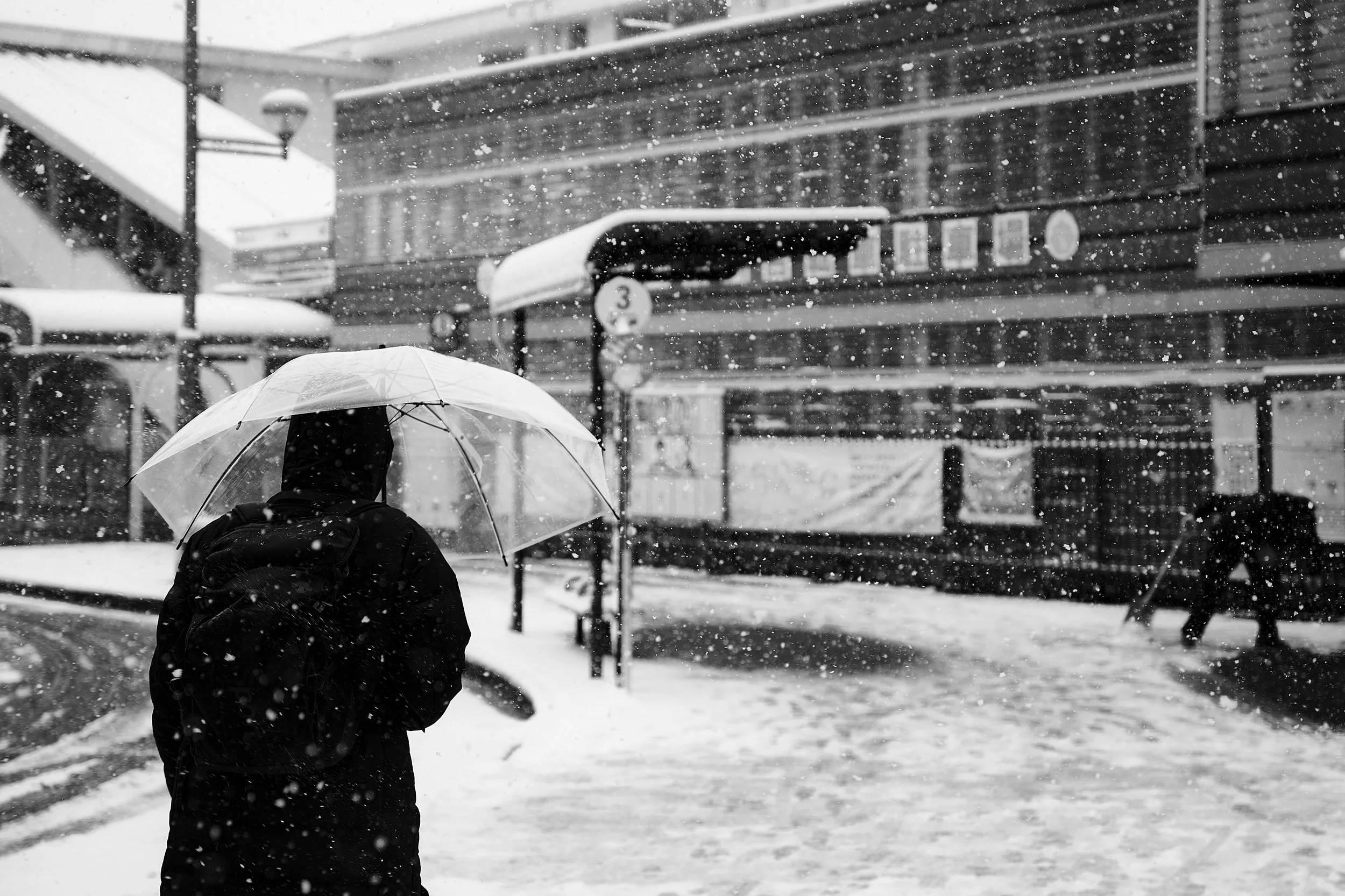 L1150162-20260208-DxO_DeepPRIME XD2s.jpeg