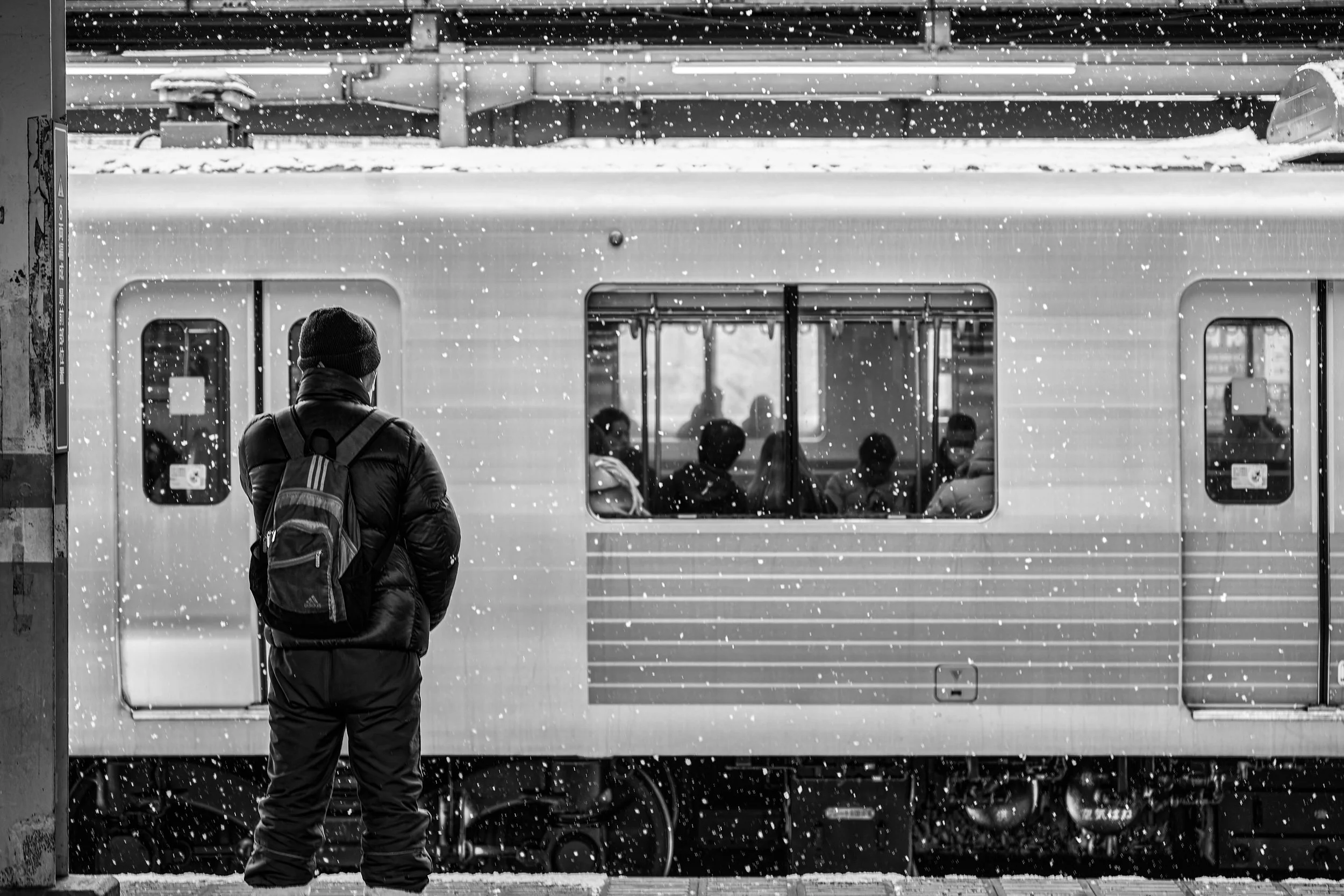 L1150164-20260208-DxO_DeepPRIME XD2s.jpeg