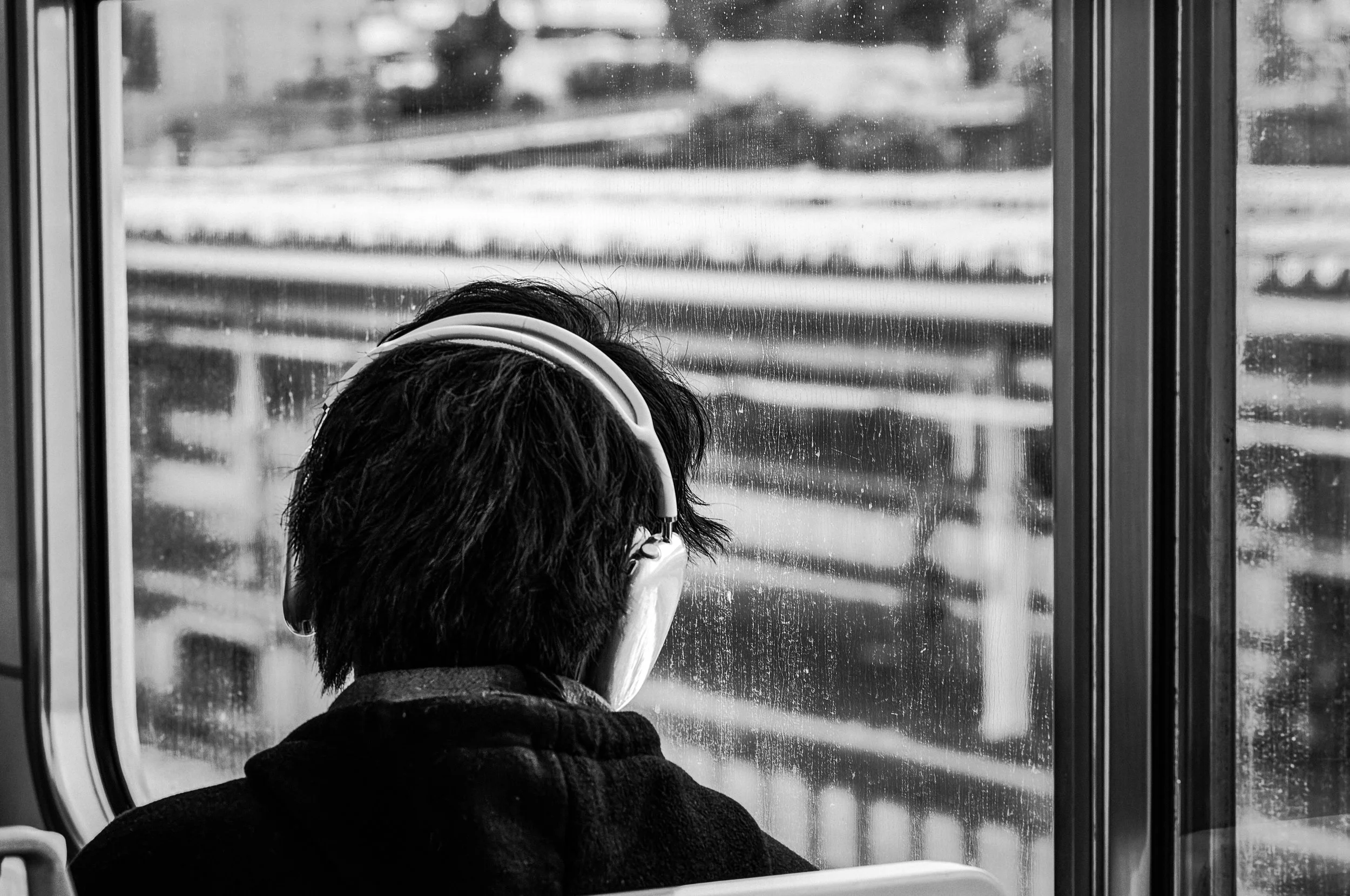 L1000720-20260208-DxO_DeepPRIME XD2s.jpeg