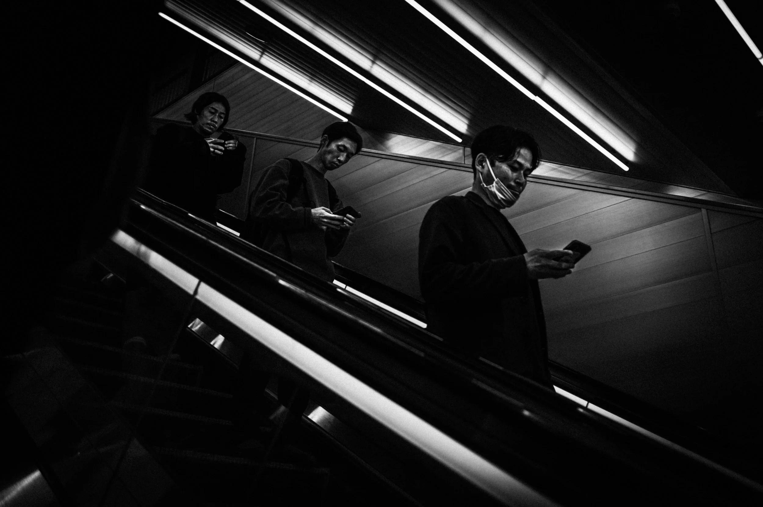 L1007315-20251028-DxO_DeepPRIME XD2s.jpg