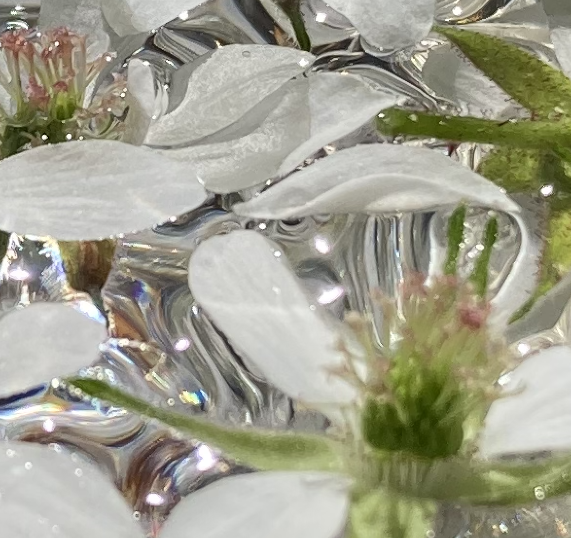 Screenshot 2026-04-29 at 5.53.31 PM.png