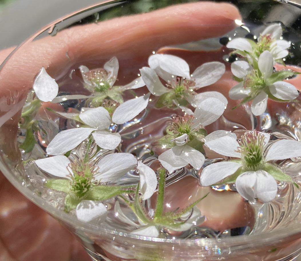 Screenshot 2026-04-29 at 5.52.54 PM.png