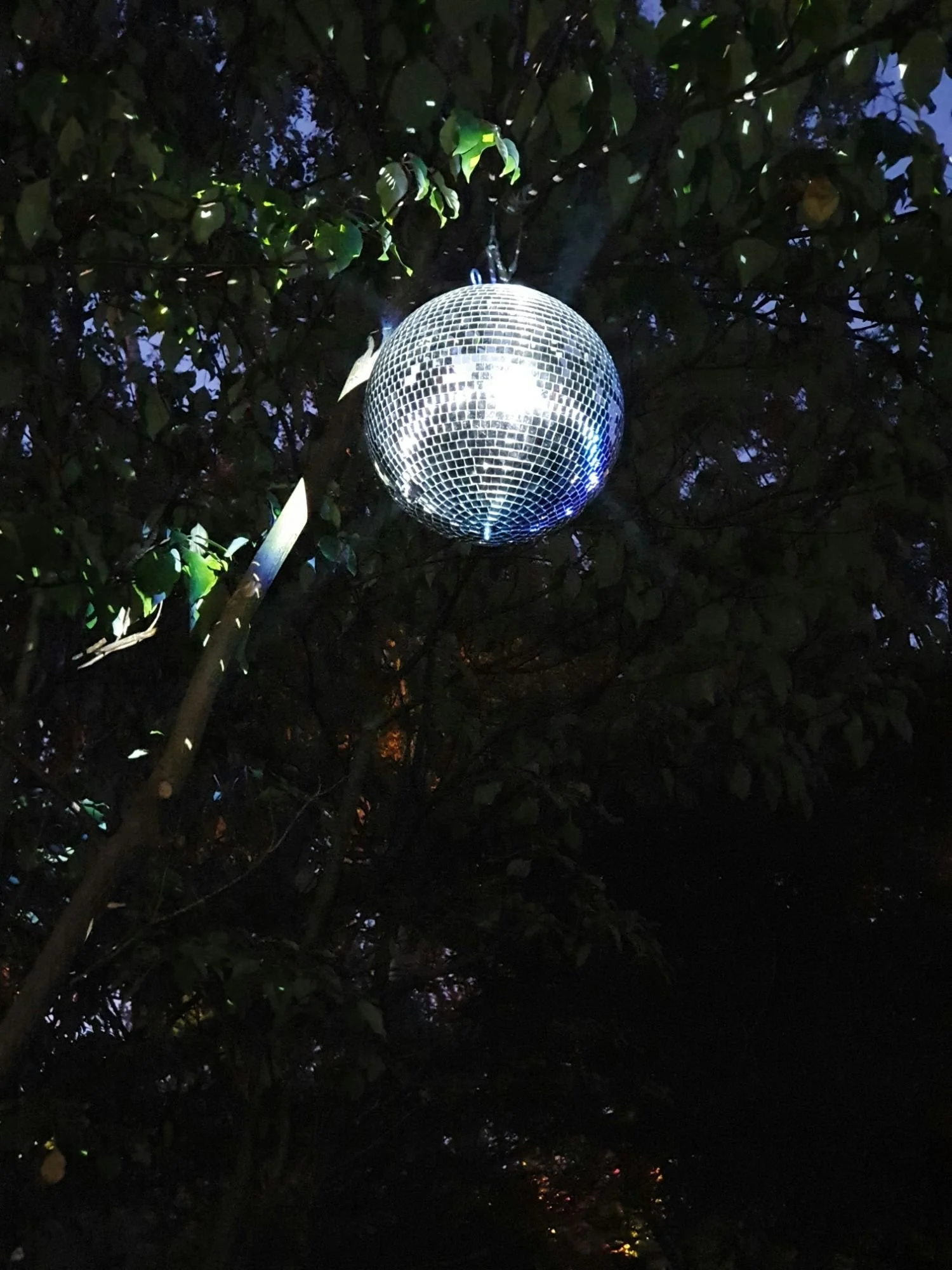 A disco ball hanging from a tree in the dark, reflecting light.