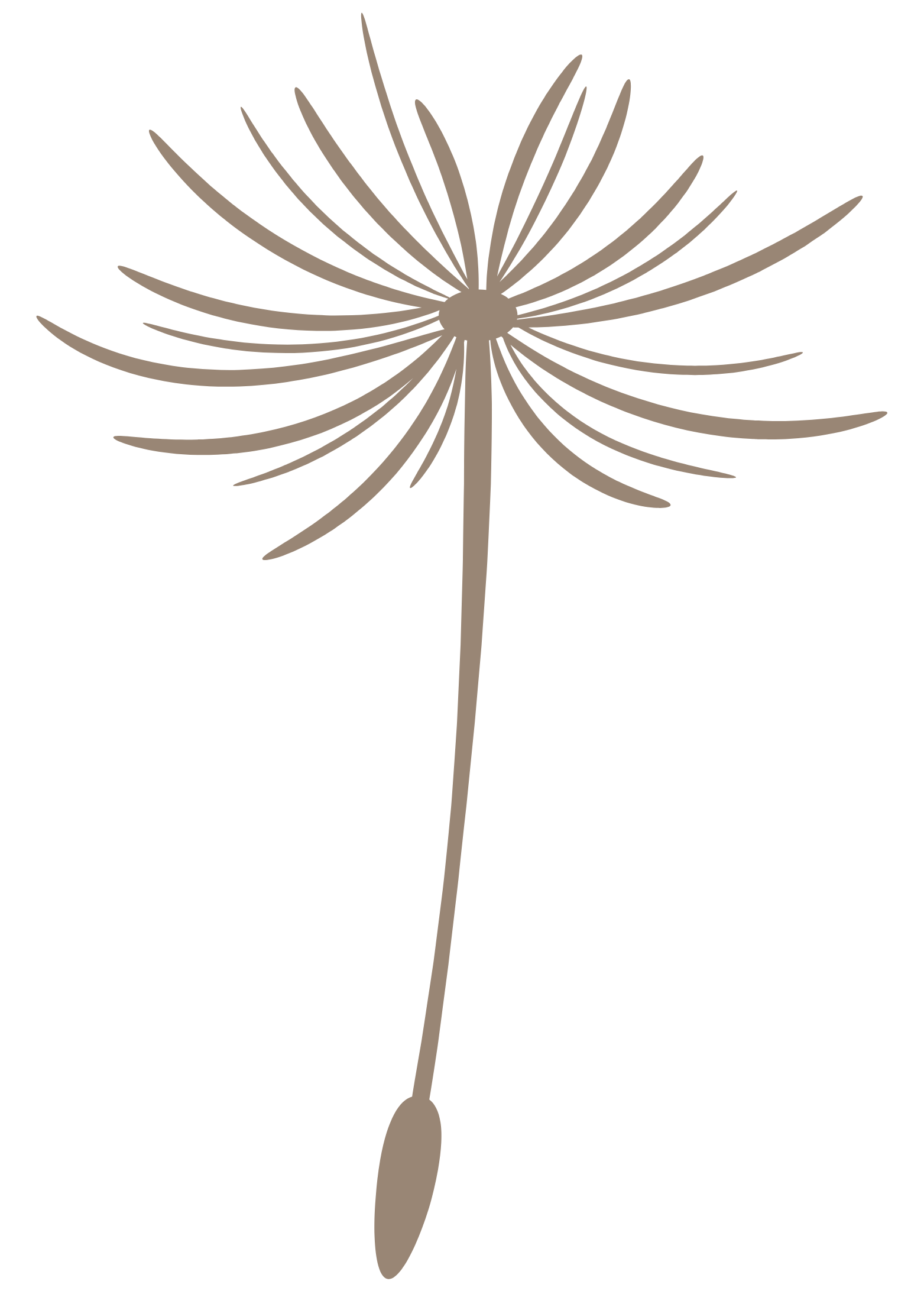 Silhouette of a dandelion seed head against a black background.