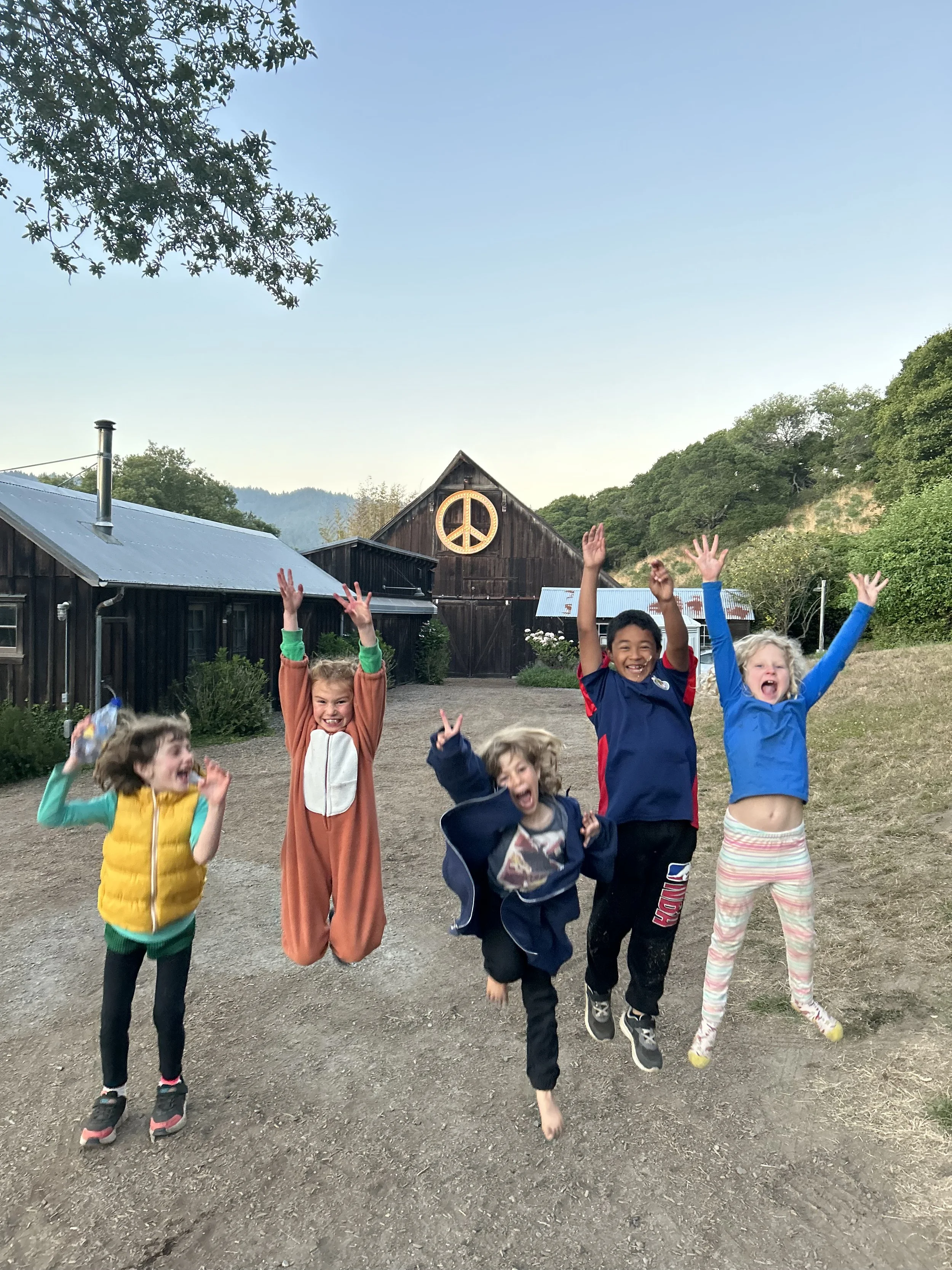 Five children jumping and smiling outdoors in front of farm buildings, with a peace sign symbol on one of the buildings and trees on a hilly landscape in the background.