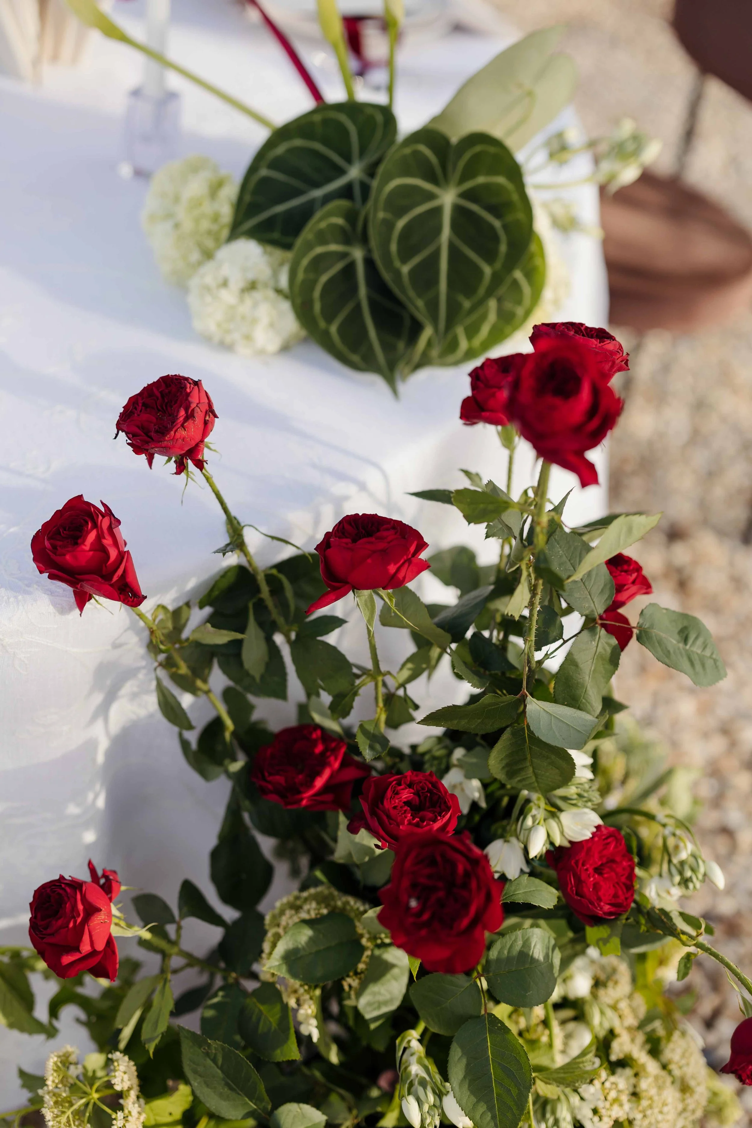 Red roses and green foliage on a table with a white tablecloth.