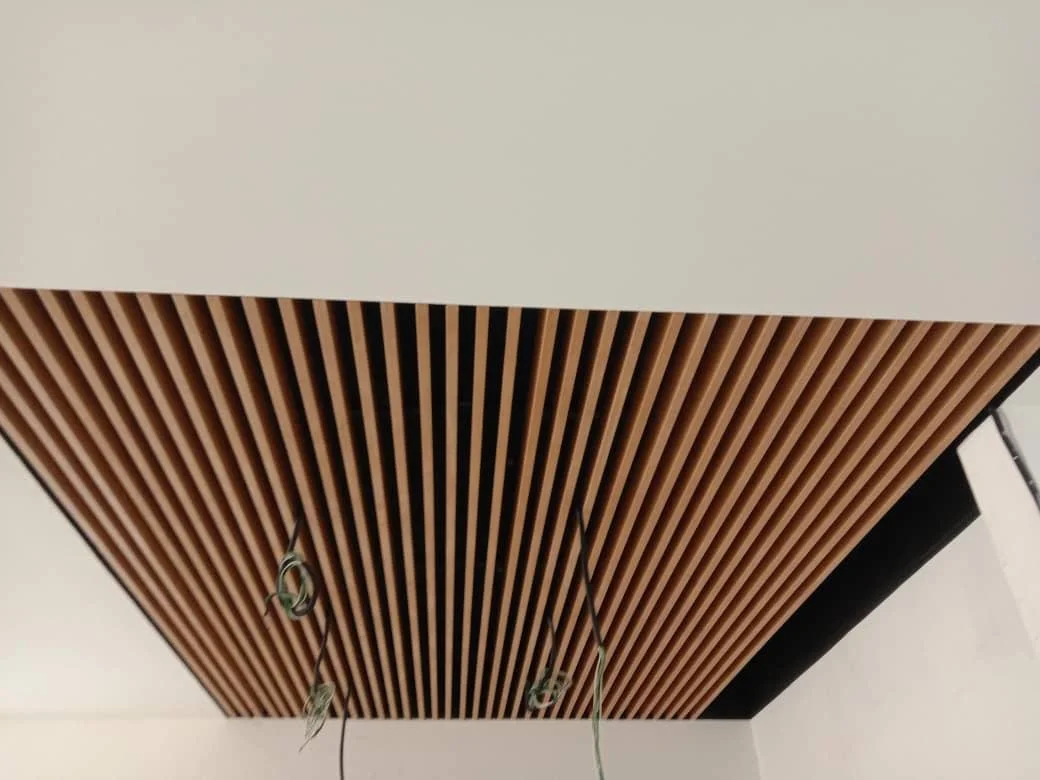 WhatsApp Image 2025-12-15 at 4.35.53 PM-2.jpeg