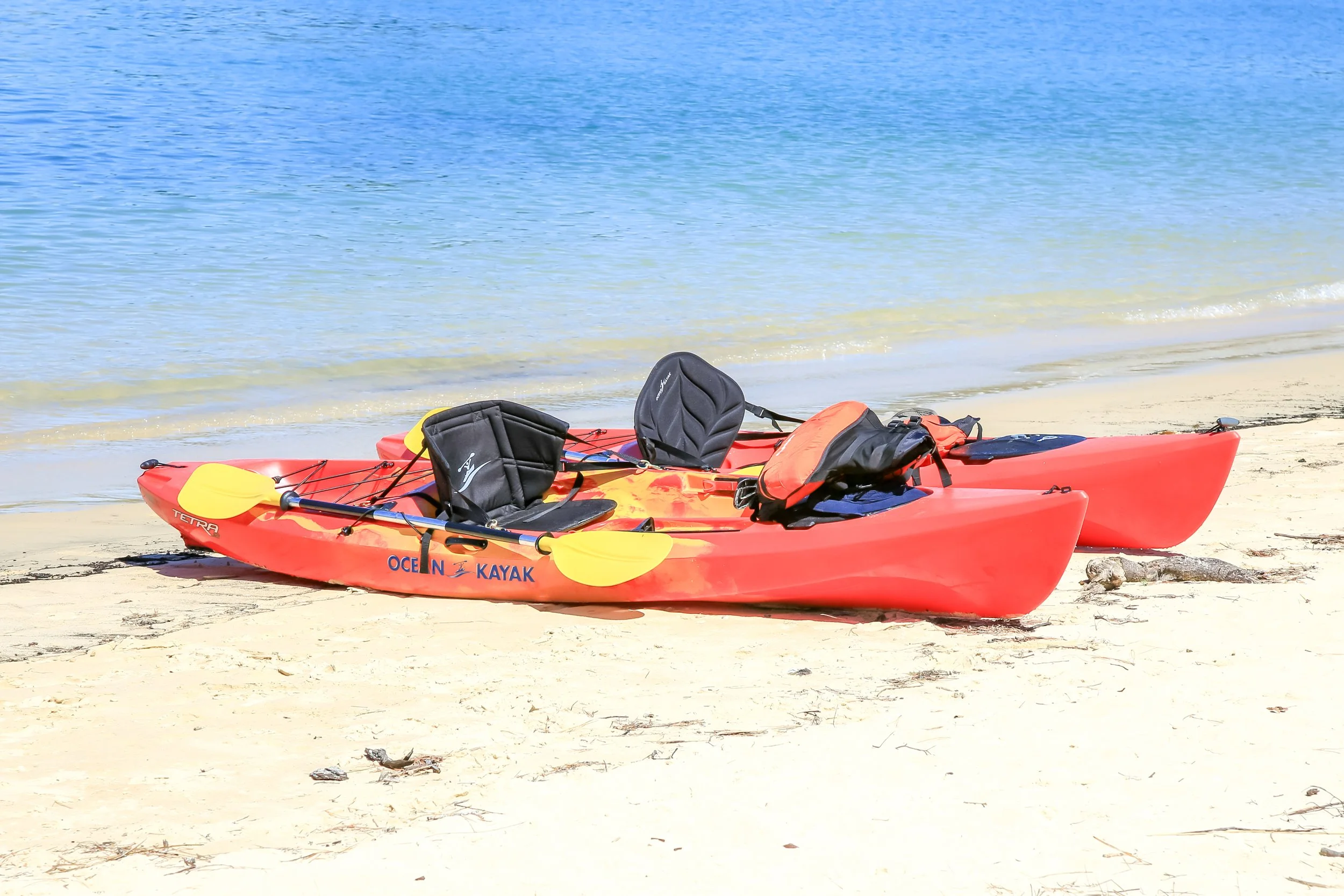 Boat hire - Lake Macquarie.Two red kayaks with black seats and yellow paddles on a sandy beach near the water.