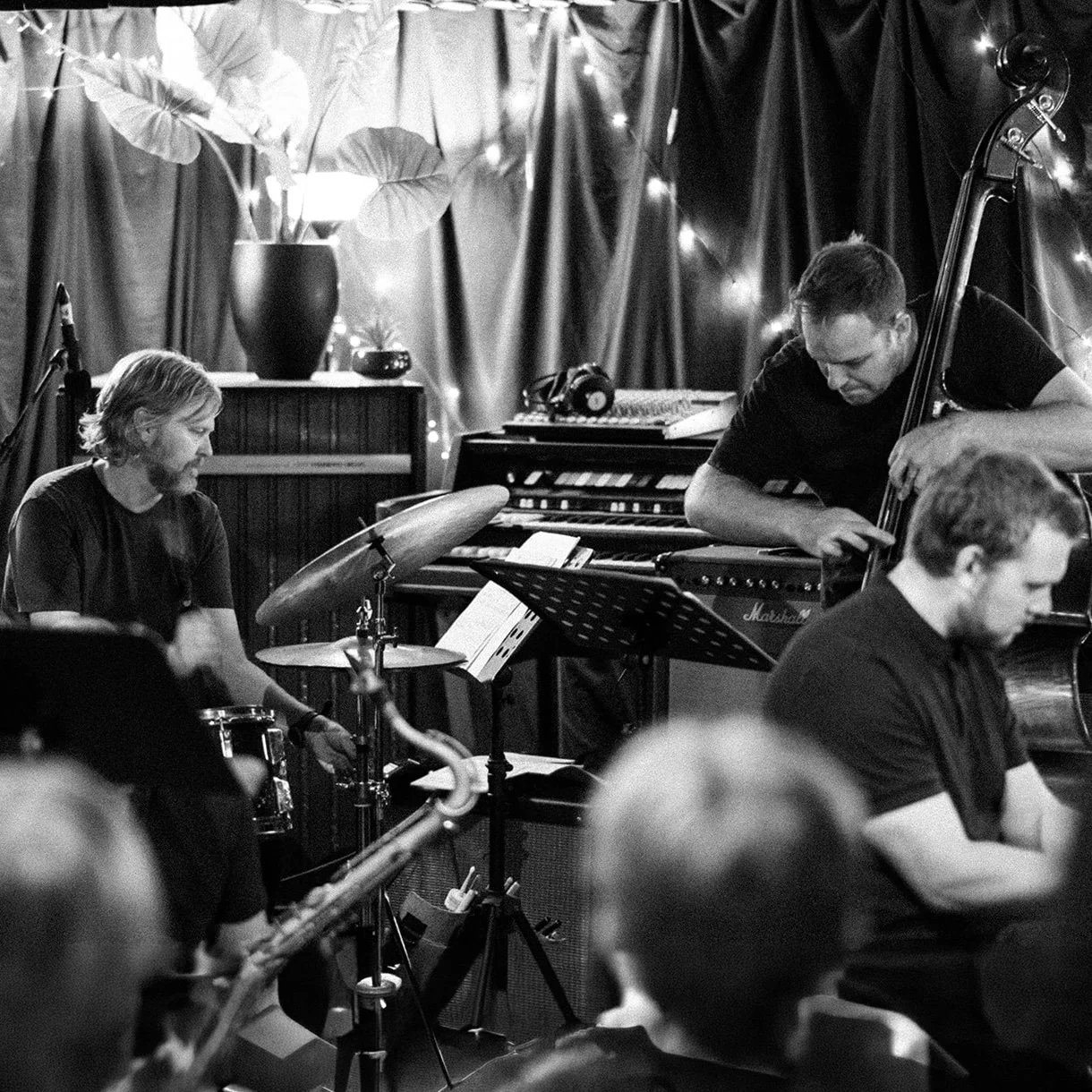 Jazz band performing in a cozy, dimly lit venue with string lights and a large vase with leaves in the background; musicians playing drums, double bass, and piano.