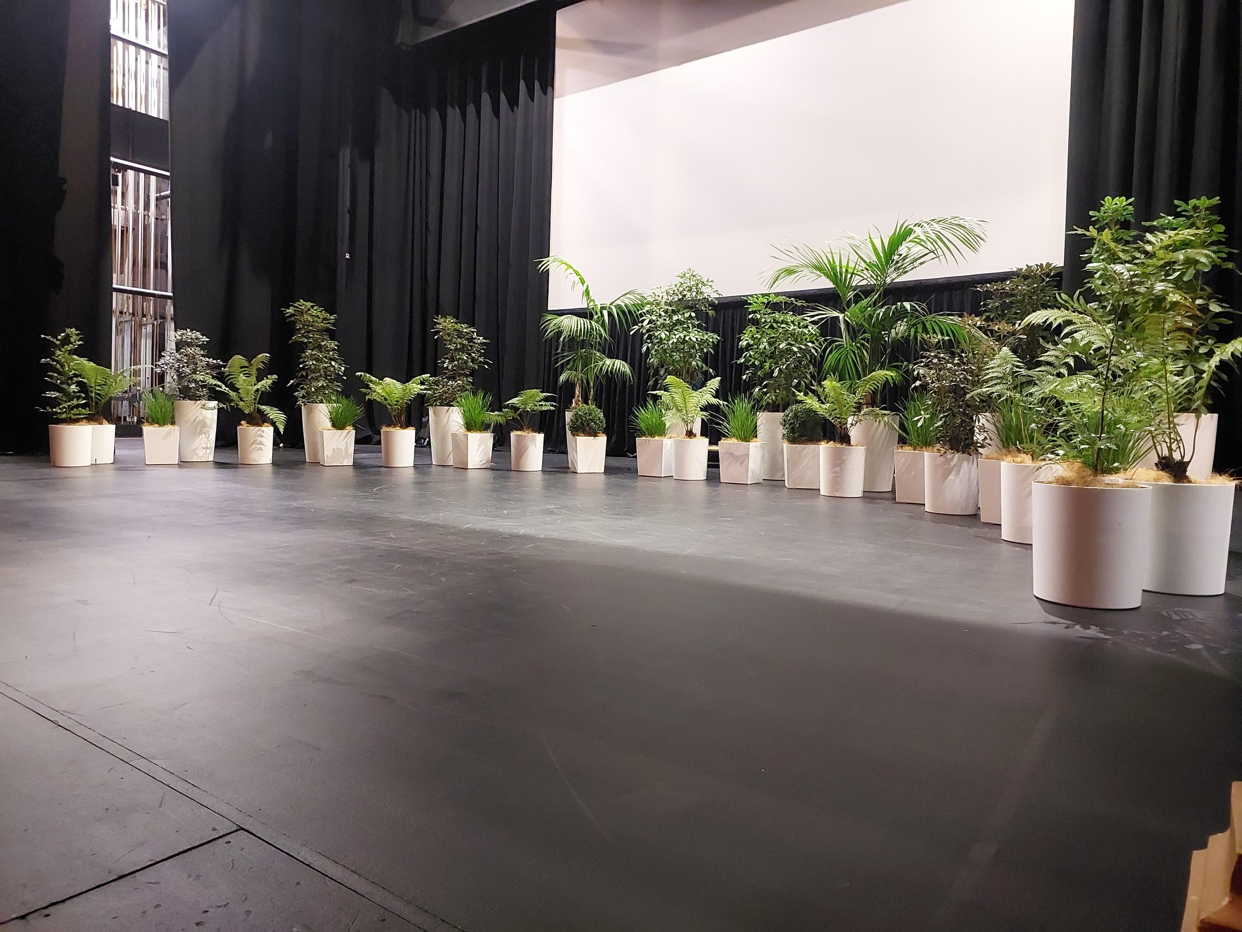 Stage with a large white screen and a row of potted green plants.