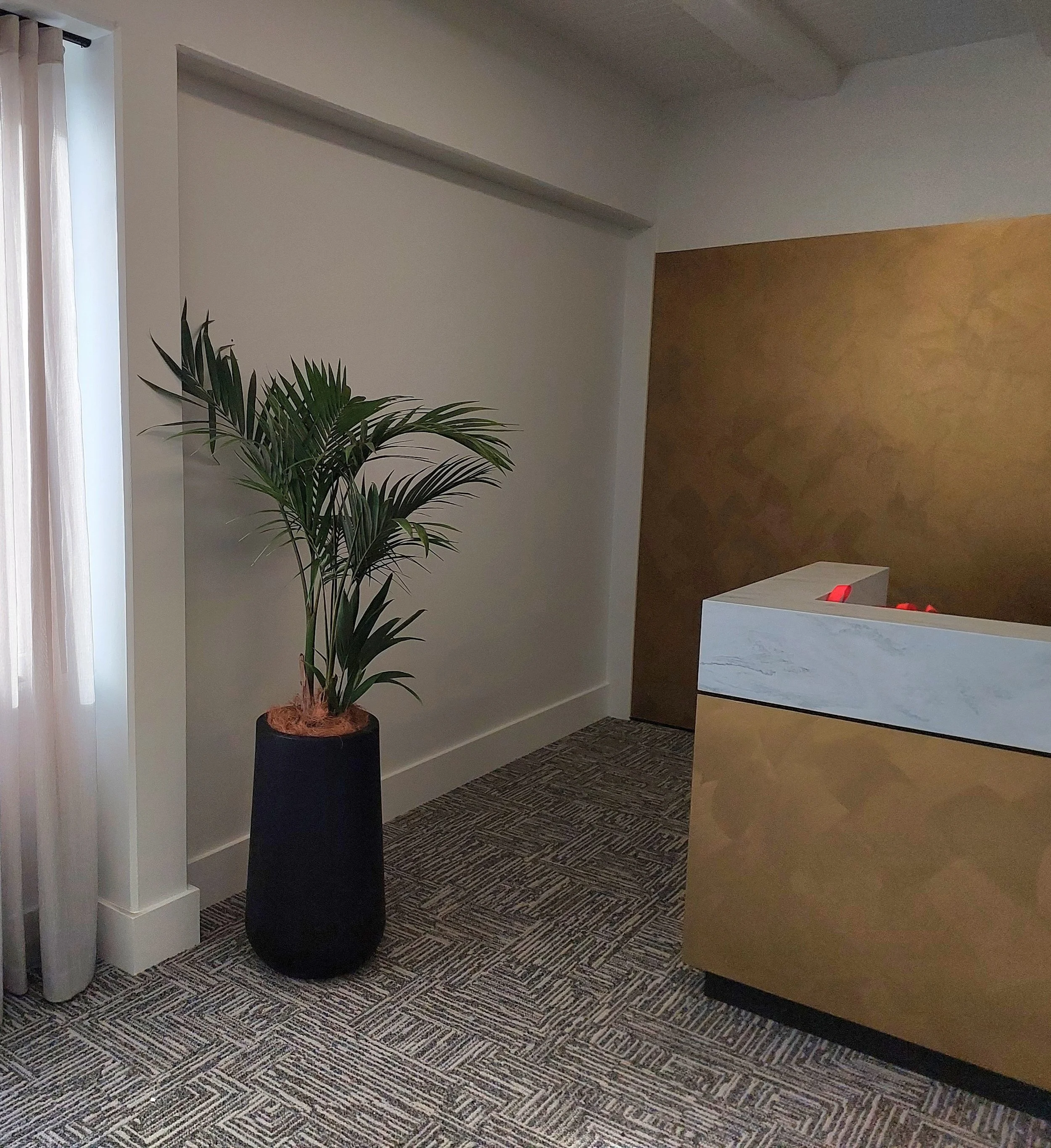 Interior scene with a tall potted plant on the left and a reception desk on the right, with a brown wall in the background and a window with sheer curtains on the left.
