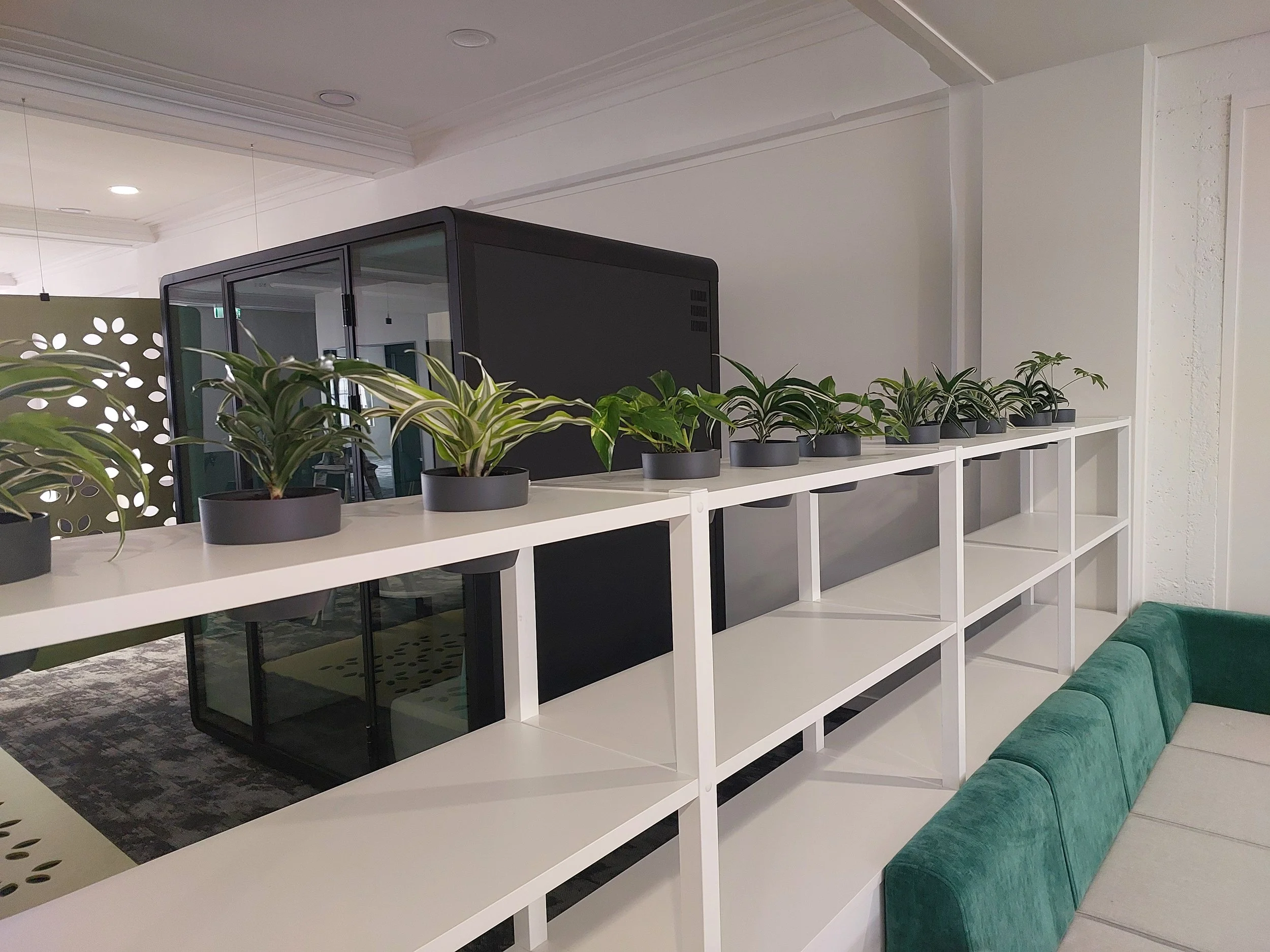 Indoor office space with a white shelving unit holding potted green plants, a green sofa, and a black enclosed office or meeting room in the background.