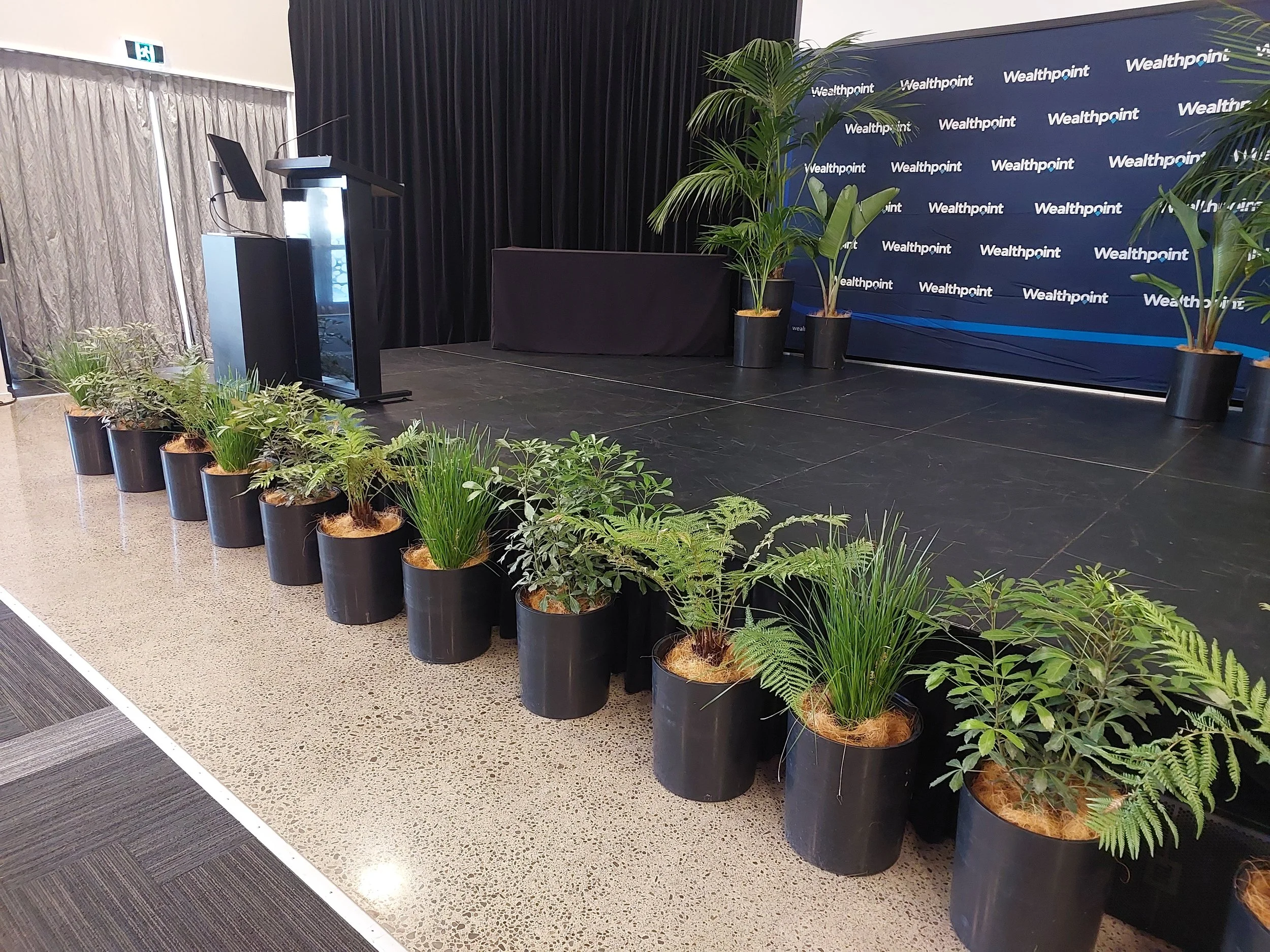 Indoor event stage with a blue backdrop featuring the Wealthpoint logo, potted plants in black containers arranged along the front of the stage, a podium with a microphone, and a table behind the stage.