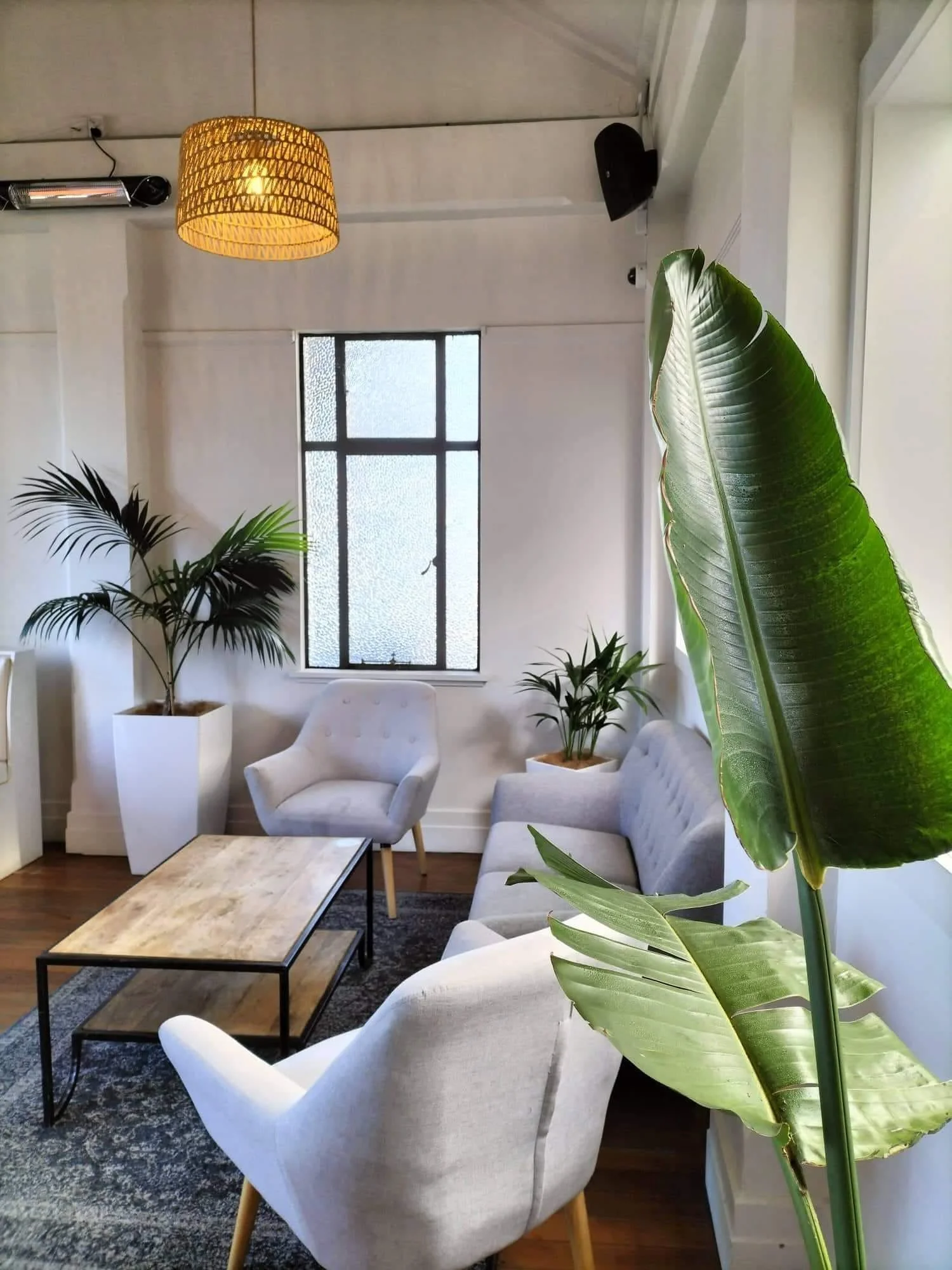 Living room with white walls, a window with textured glass, a wooden coffee table, white armchairs, a gray sofa, a patterned rug, and large potted green plants. A woven lampshade hangs from the ceiling.