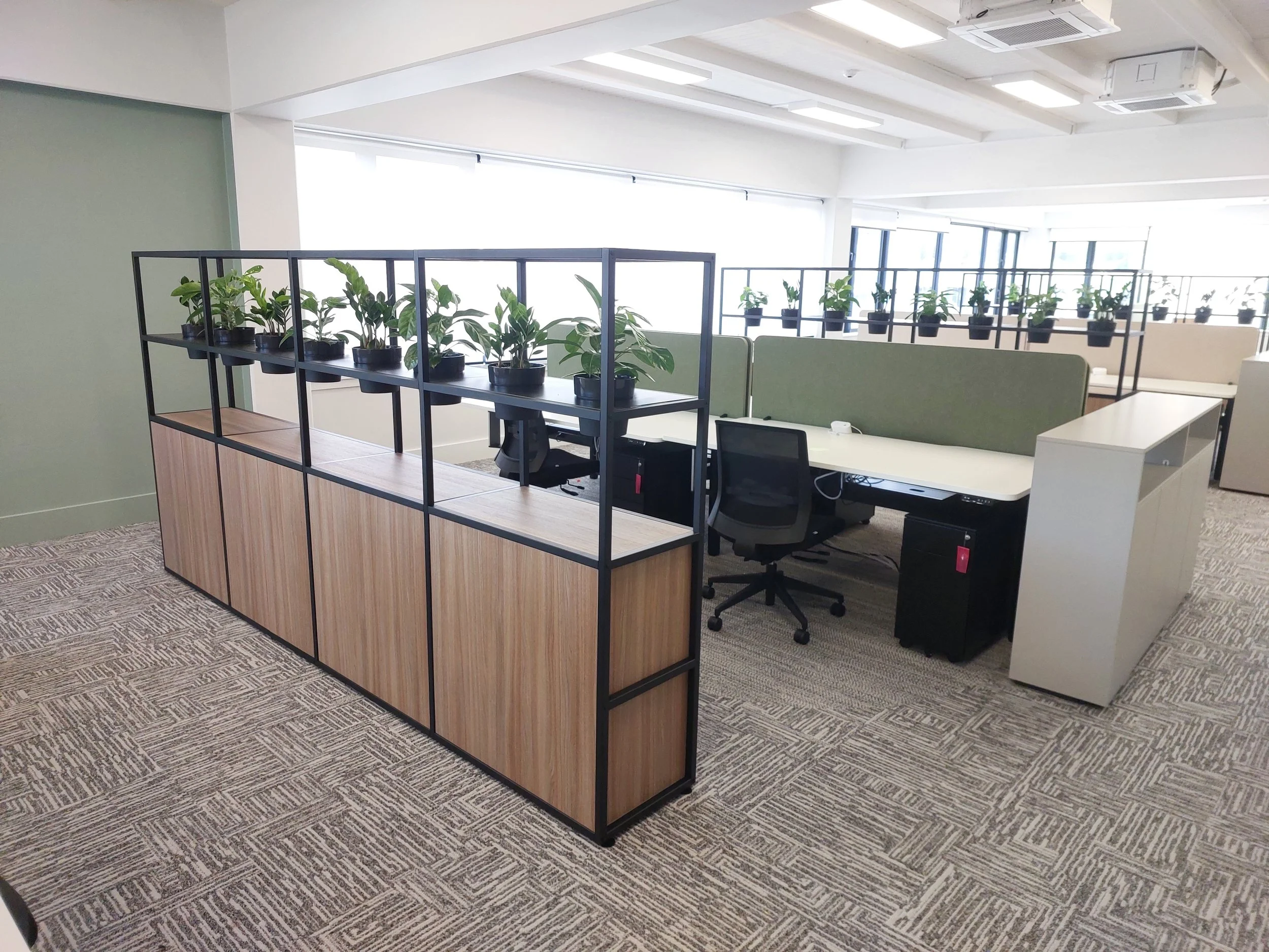 Open-plan office space with desks, office chairs, and dividers decorated with potted plants, natural light from large windows, carpeted floor.
