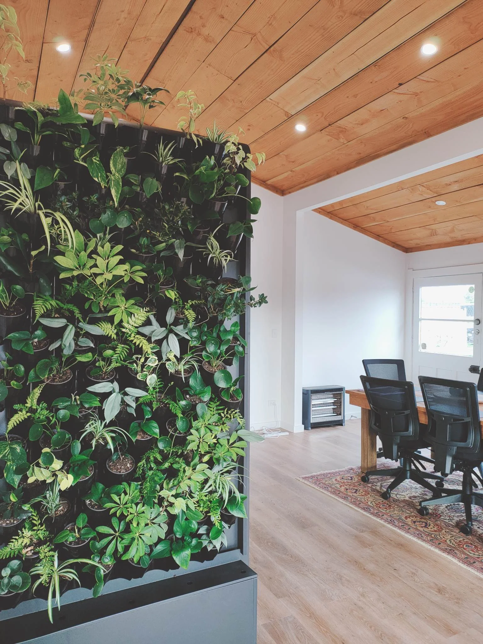 Interior of a modern home office with a mobile vertical garden wall of green plants, wooden ceiling, hardwood floors, a desk with black chairs, a window, and a small heater.