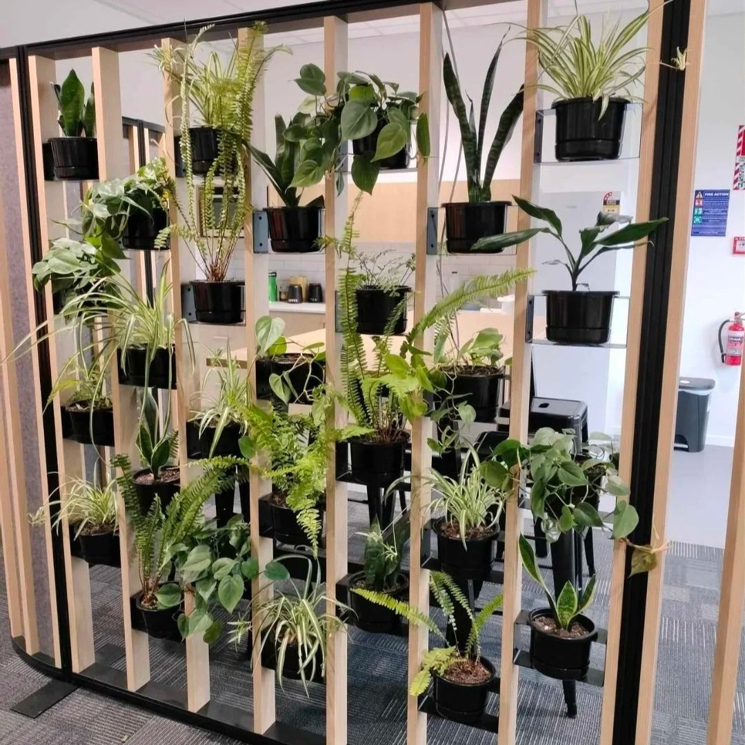 Indoor wooden plant stand with multiple black pots containing green houseplants, within an office setting.