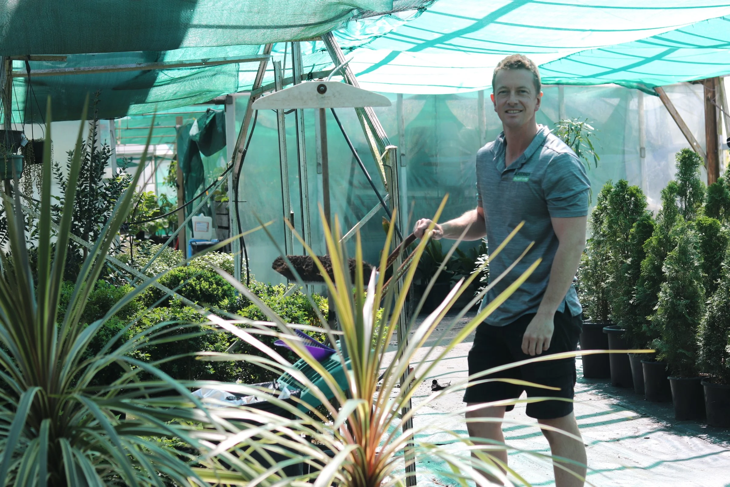 A man watering plants inside a greenhouse filled with various potted plants and greenery.