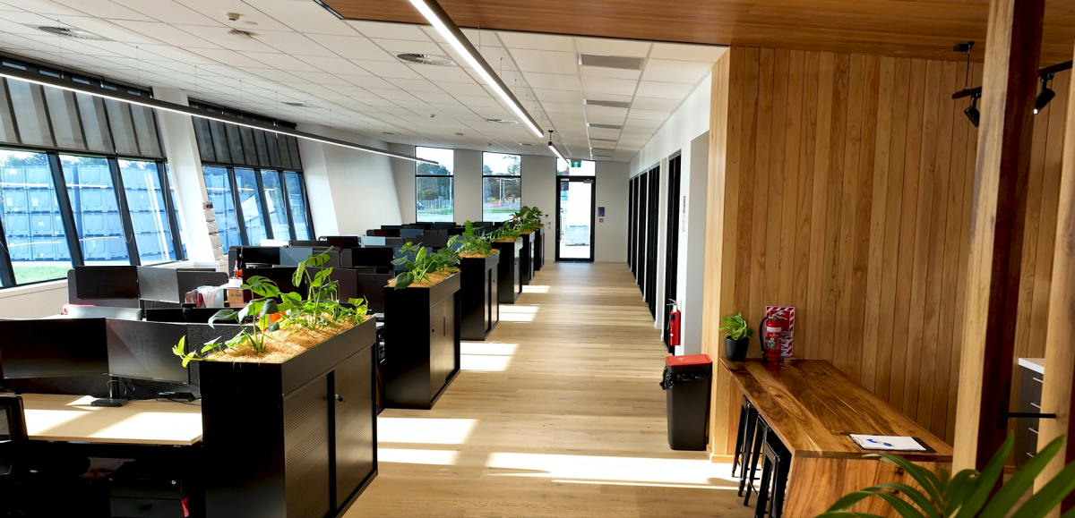 Modern office with black desks and chairs, large windows letting in natural light, plants on some desks, wood accent walls, and a hallway leading to an exit door.