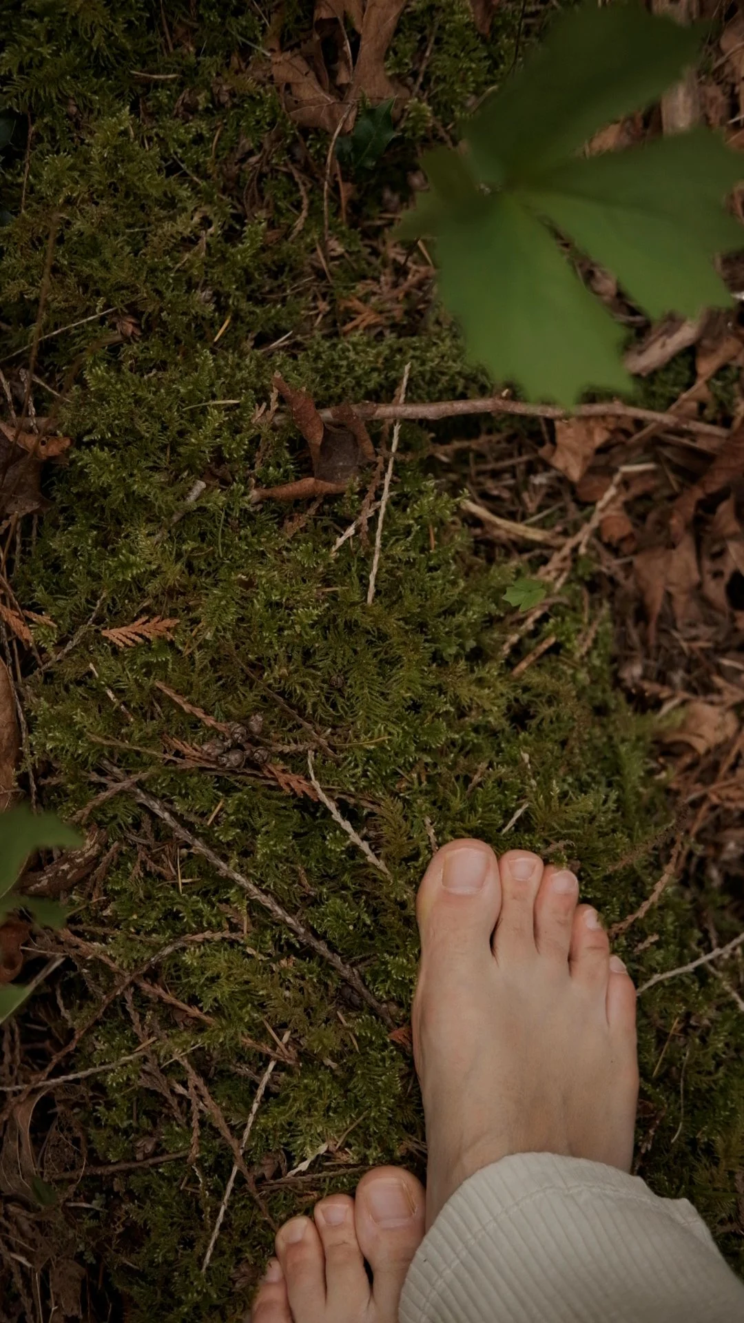 Welcome to the path: an introduction to somatic healing.