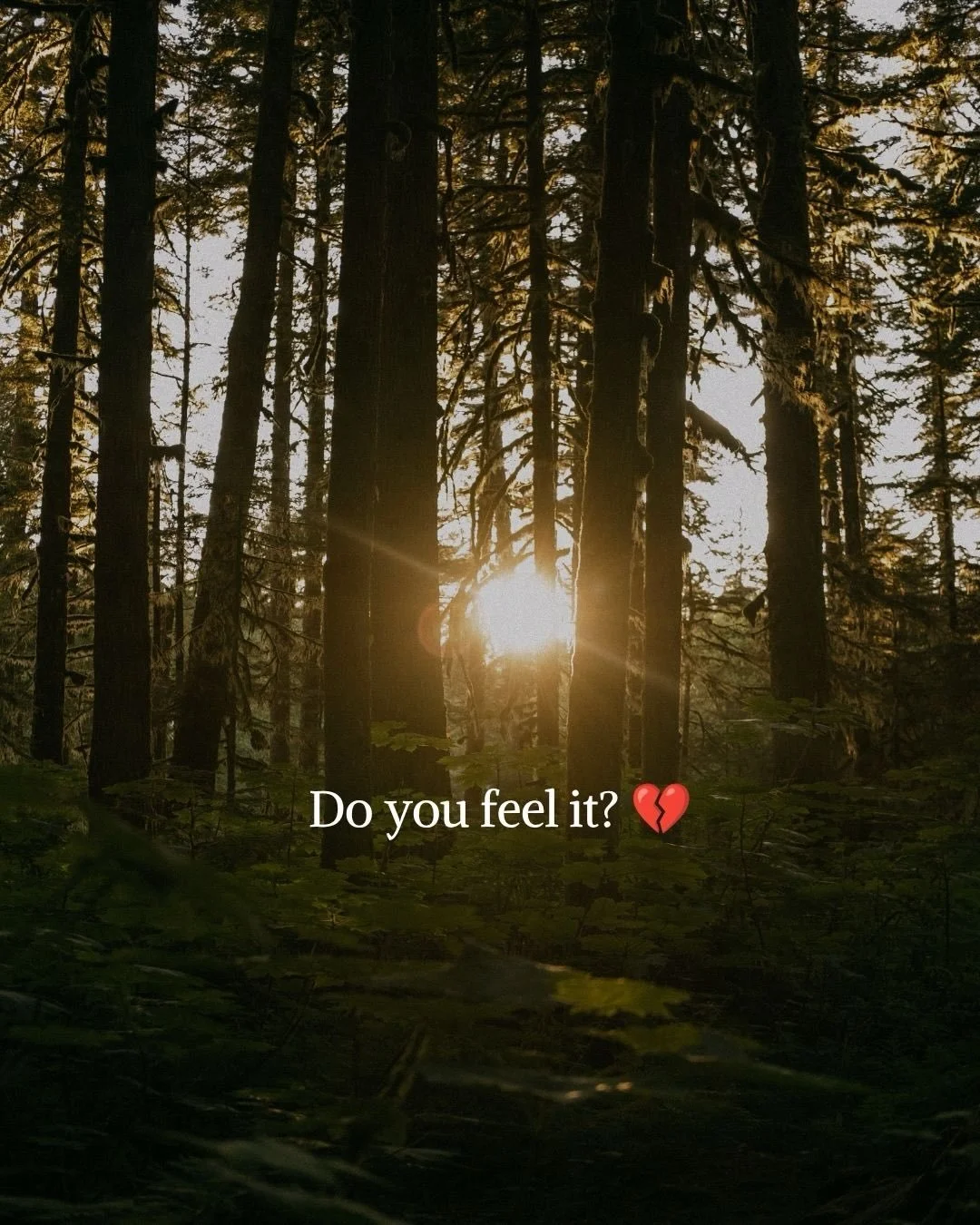 @elena.oerlemans 

Join this beautiful women&rsquo;s circle to reconnect with yourself, with your body, with everything that you have been hiding from the world and first of all from yourself. 

You can&rsquo;t win a game that was designed to keep yo
