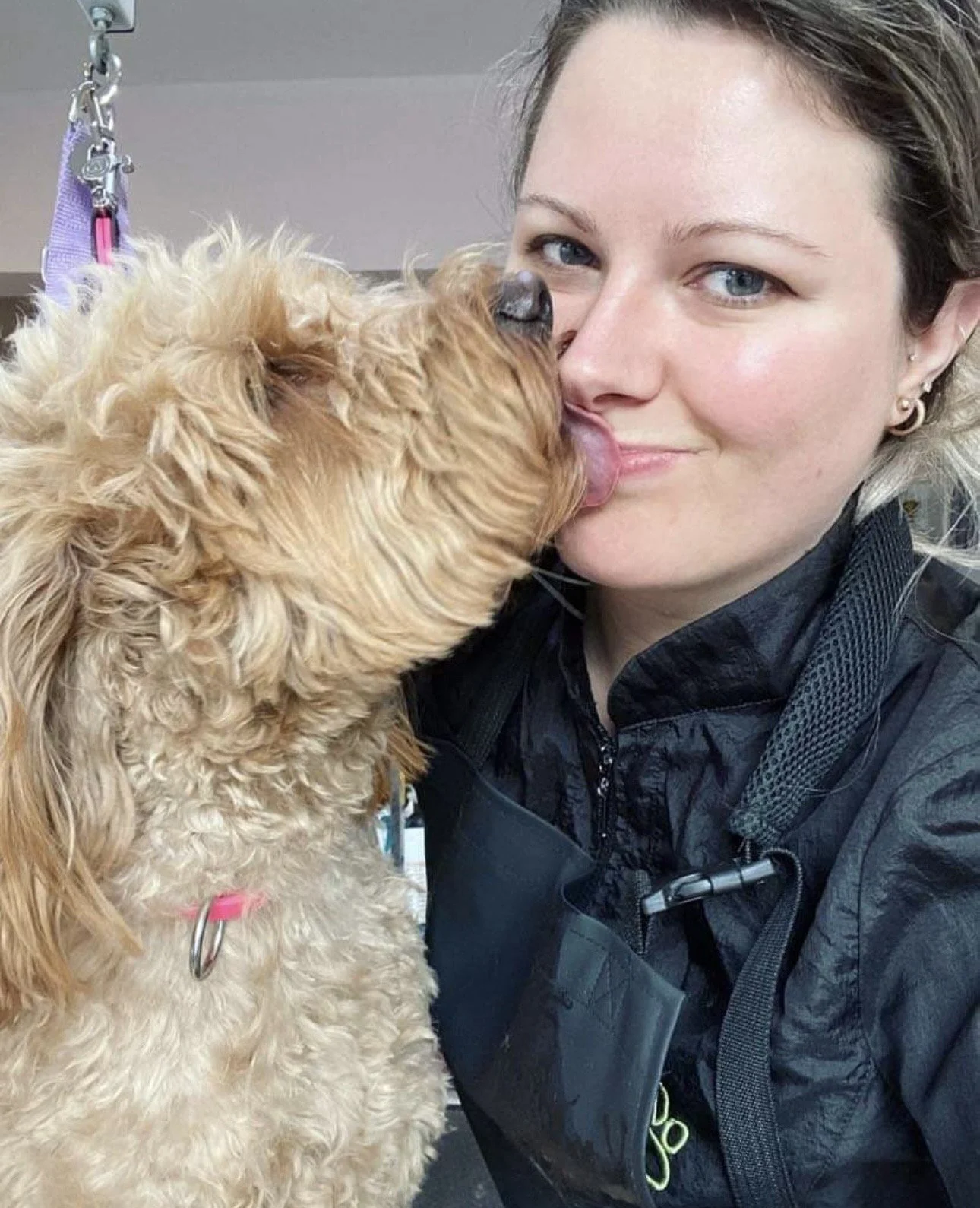 A woman with blue eyes and earrings is getting licked on the face by a tan curly-haired dog in a grooming or veterinary setting.
