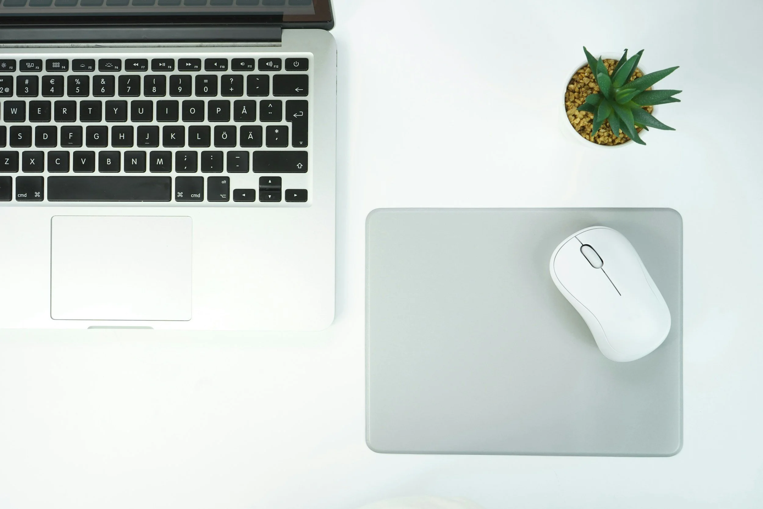 Laptop Computer with wireless mouse and a plant