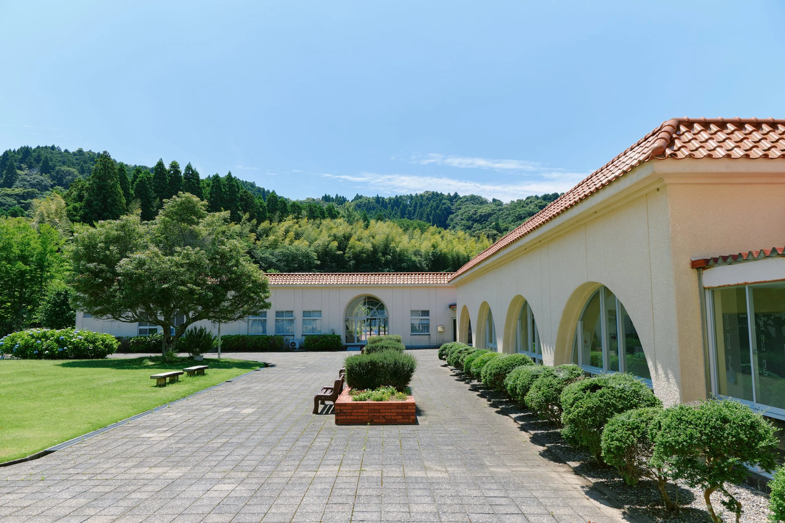 青空と緑豊かな山々の背景に、灰色のタイル張りの舗装された歩道沿いに白い建物と緑の木々が並ぶ、校舎や建物のエントランスが見える風景。