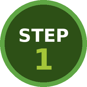 Step 1: Initial consultation