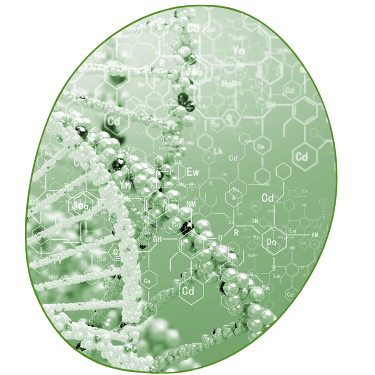 Illustration of a DNA double helix